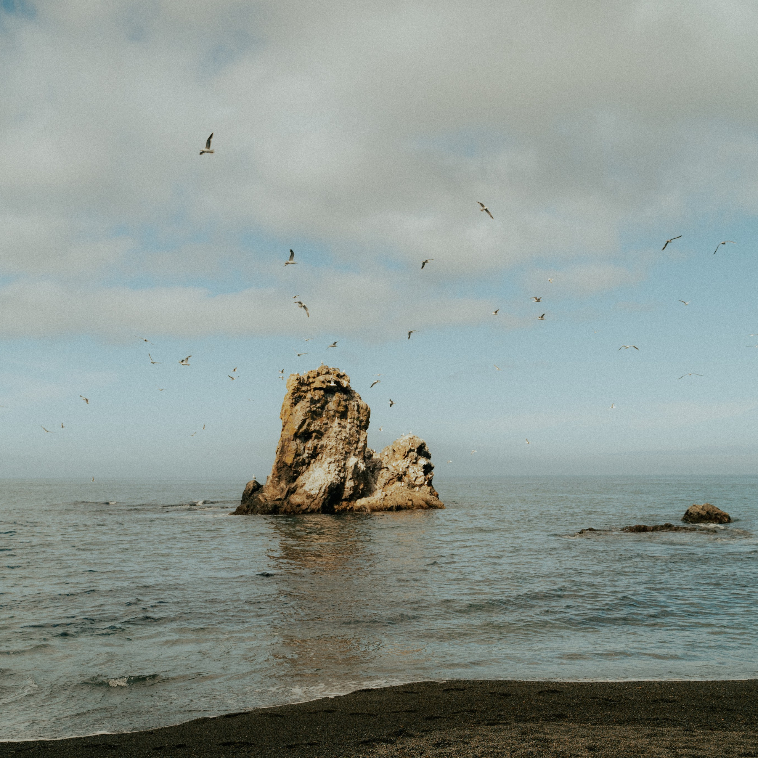 Сахалин. Контент съемка | Мобильный фотограф Ириша Гришина