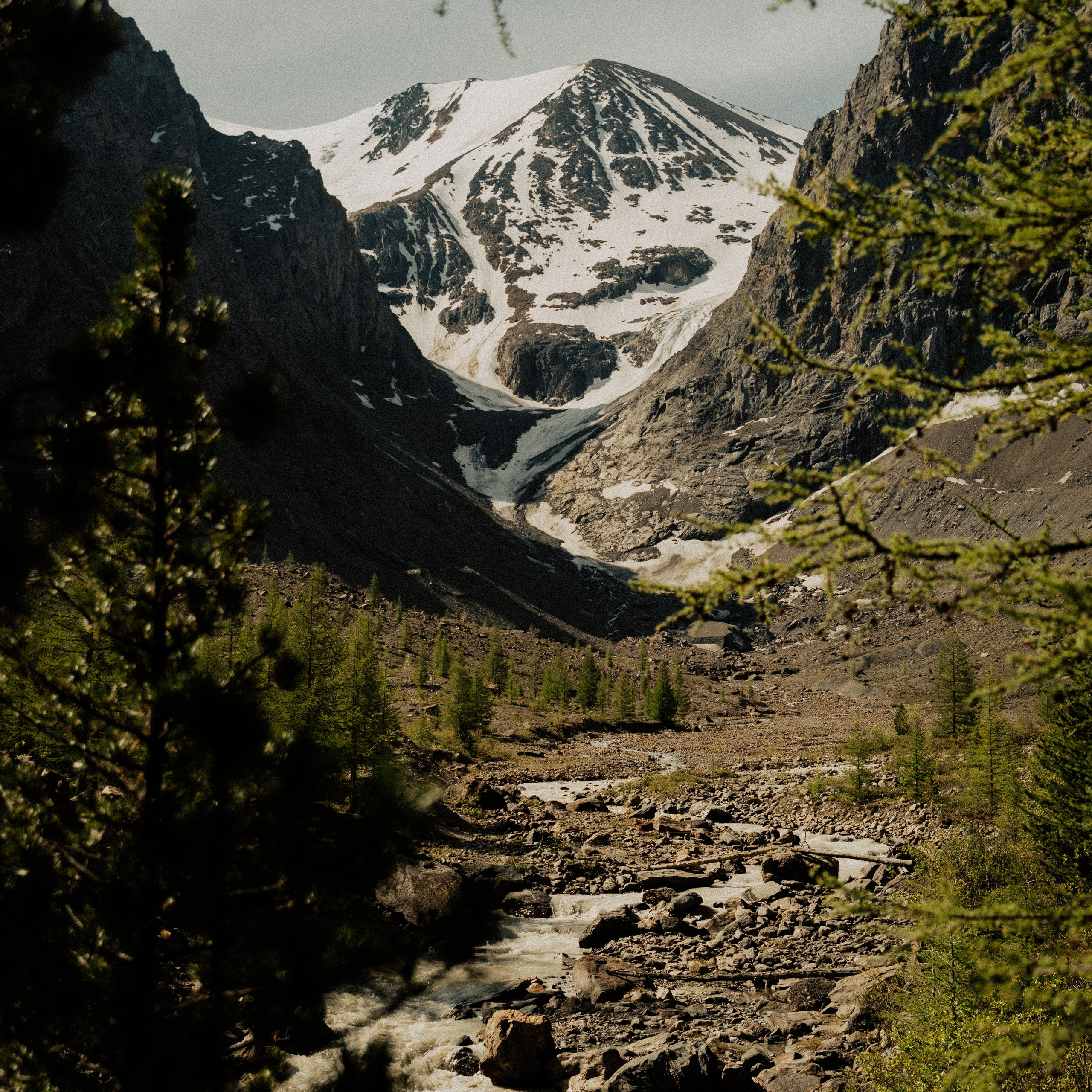 Алтай. Контент съемка | Мобильный фотограф Ириша Гришина