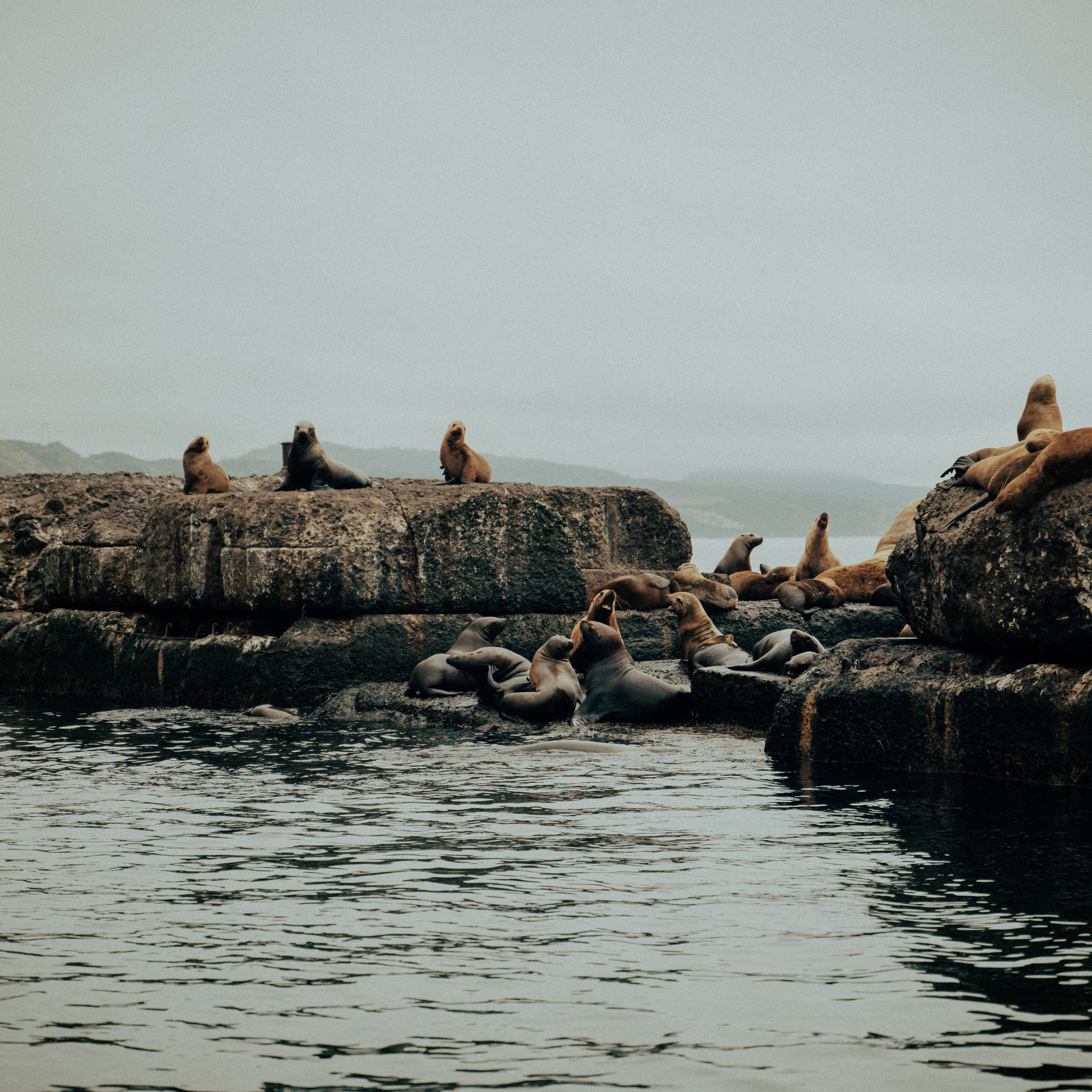 Сахалин. Контент съемка | Мобильный фотограф Ириша Гришина