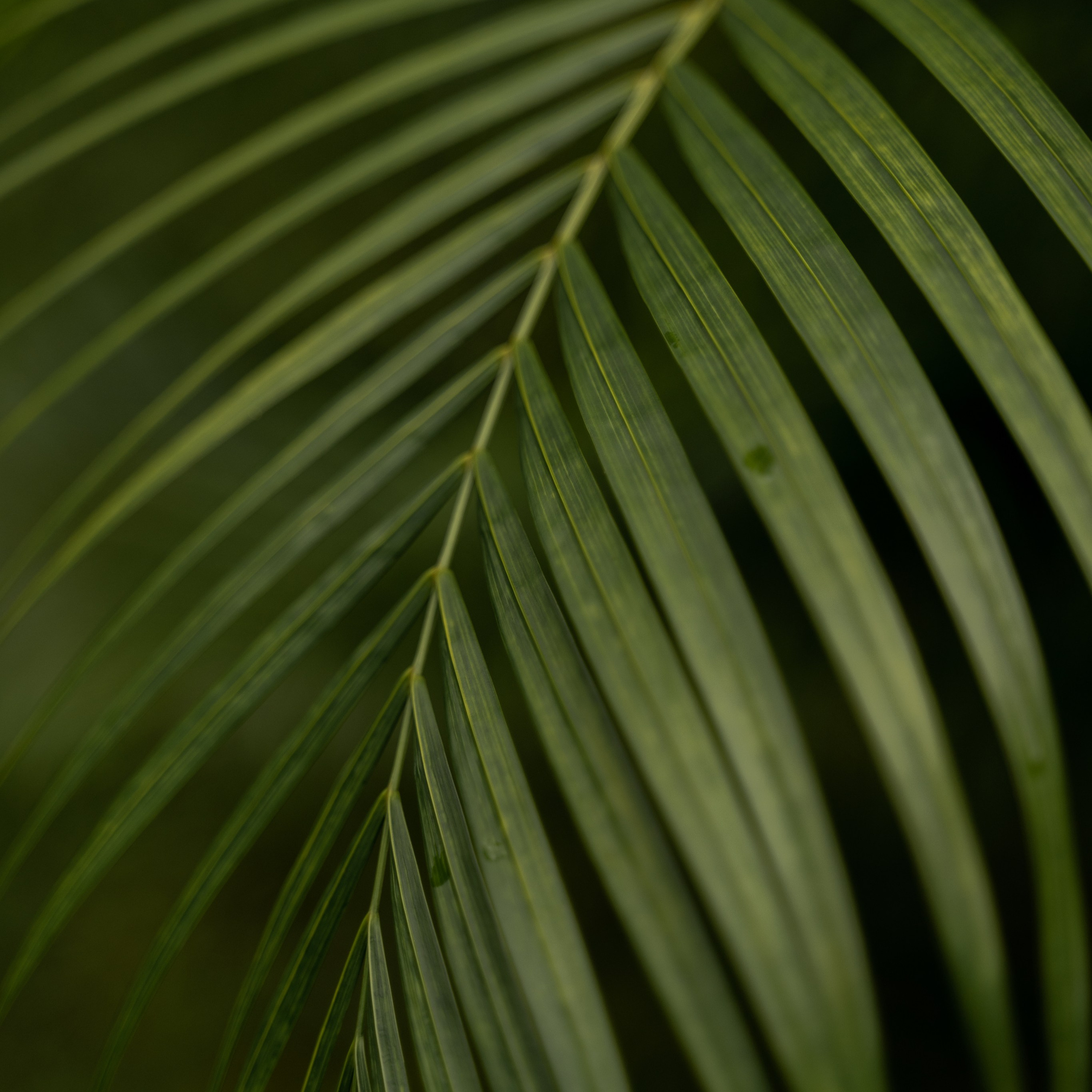 Travel story с Татьяной Соловей. Контент съемка | Мобильный фотограф Ириша Гришина