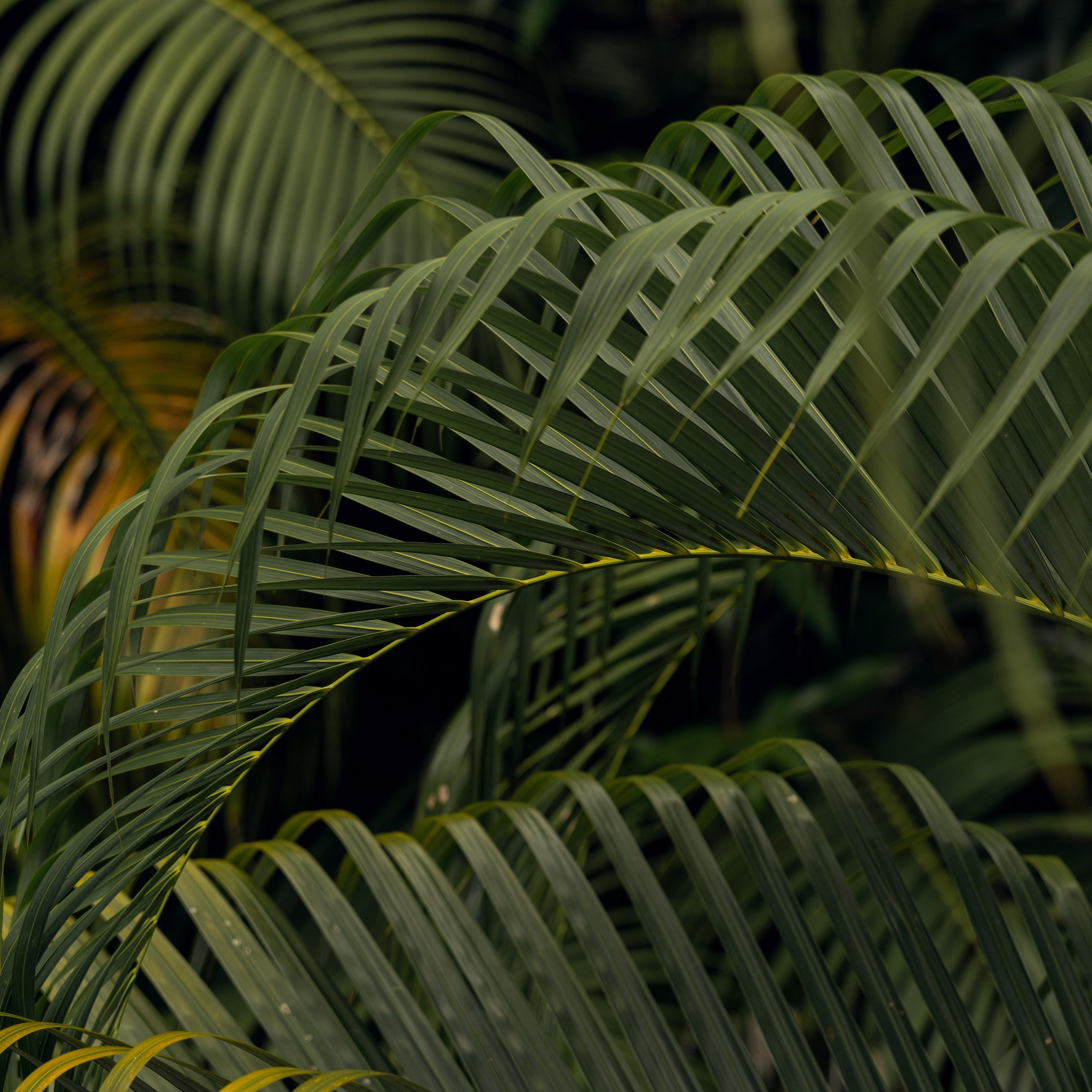 Travel story с Татьяной Соловей. Контент съемка | Мобильный фотограф Ириша Гришина