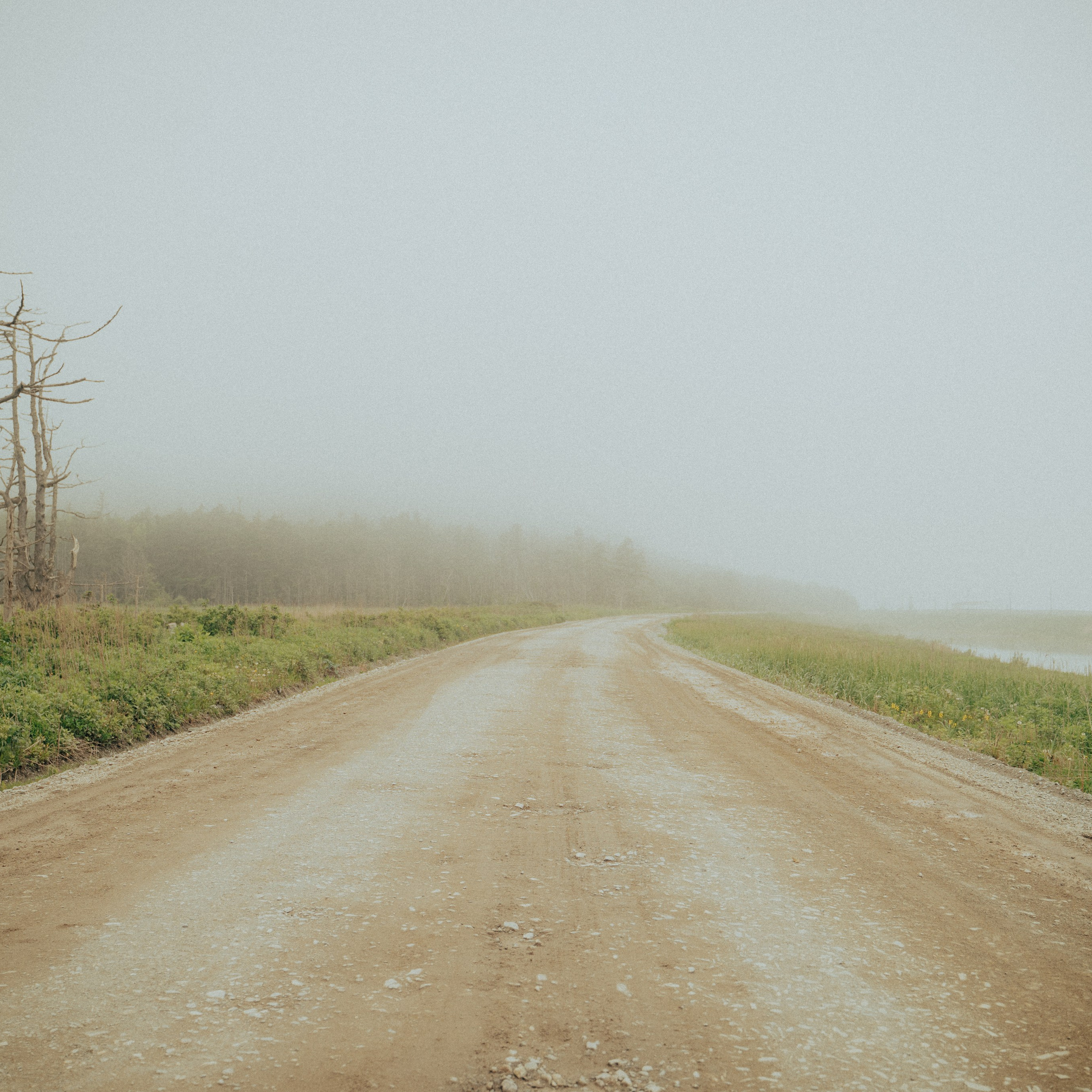 Сахалин. Контент съемка | Мобильный фотограф Ириша Гришина