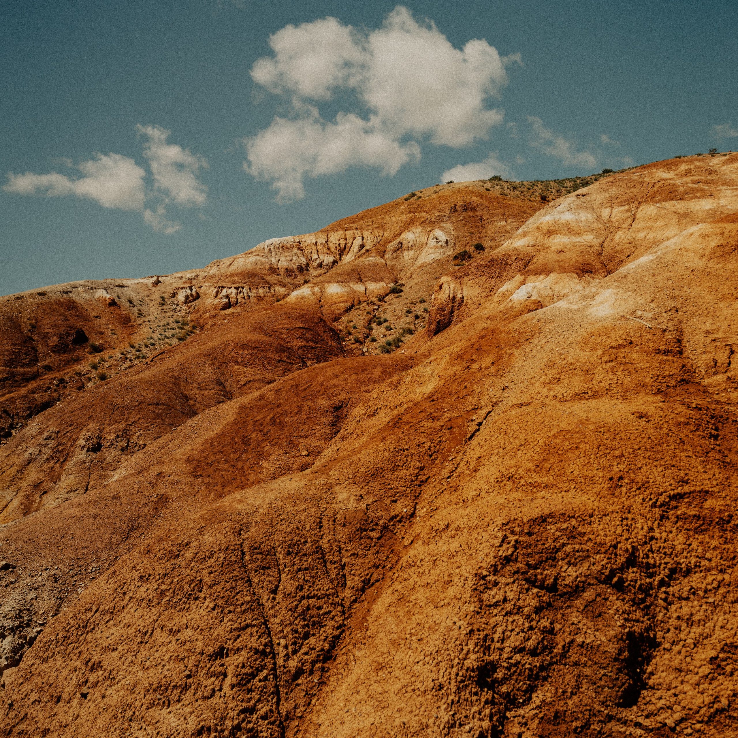 Алтай. Контент съемка | Мобильный фотограф Ириша Гришина