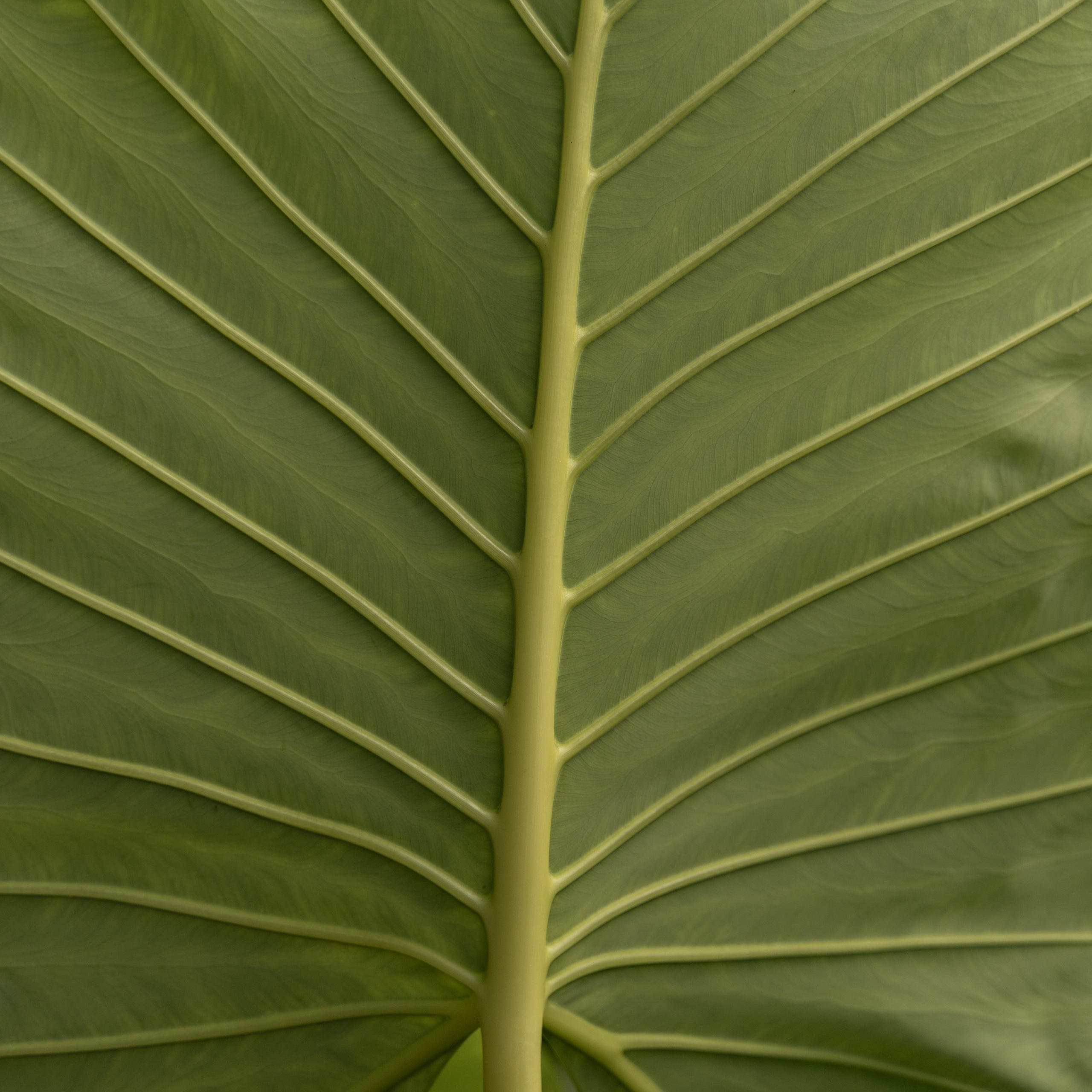 Travel story с Татьяной Соловей. Контент съемка | Мобильный фотограф Ириша Гришина