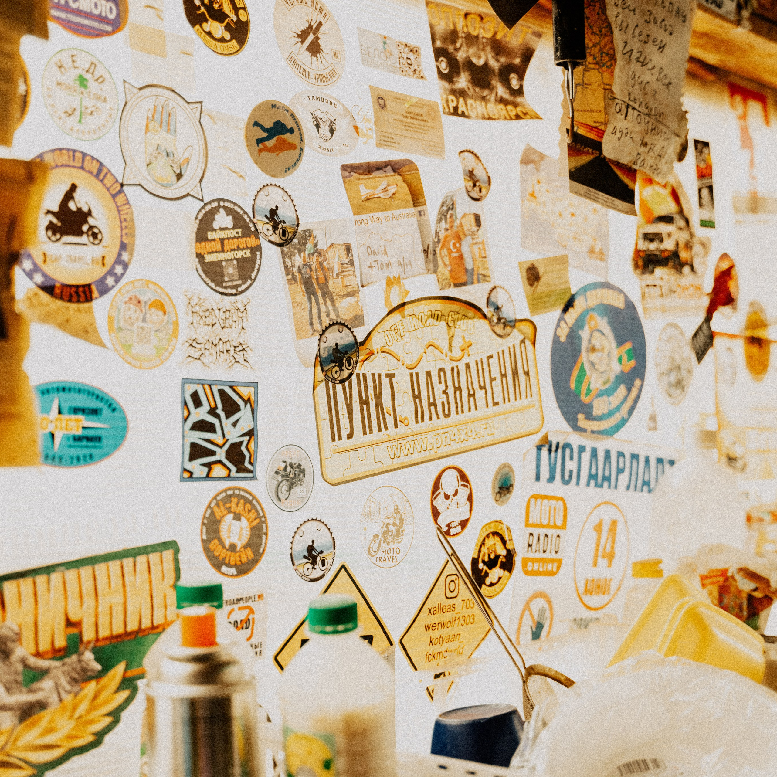 Алтай. Контент съемка | Мобильный фотограф Ириша Гришина