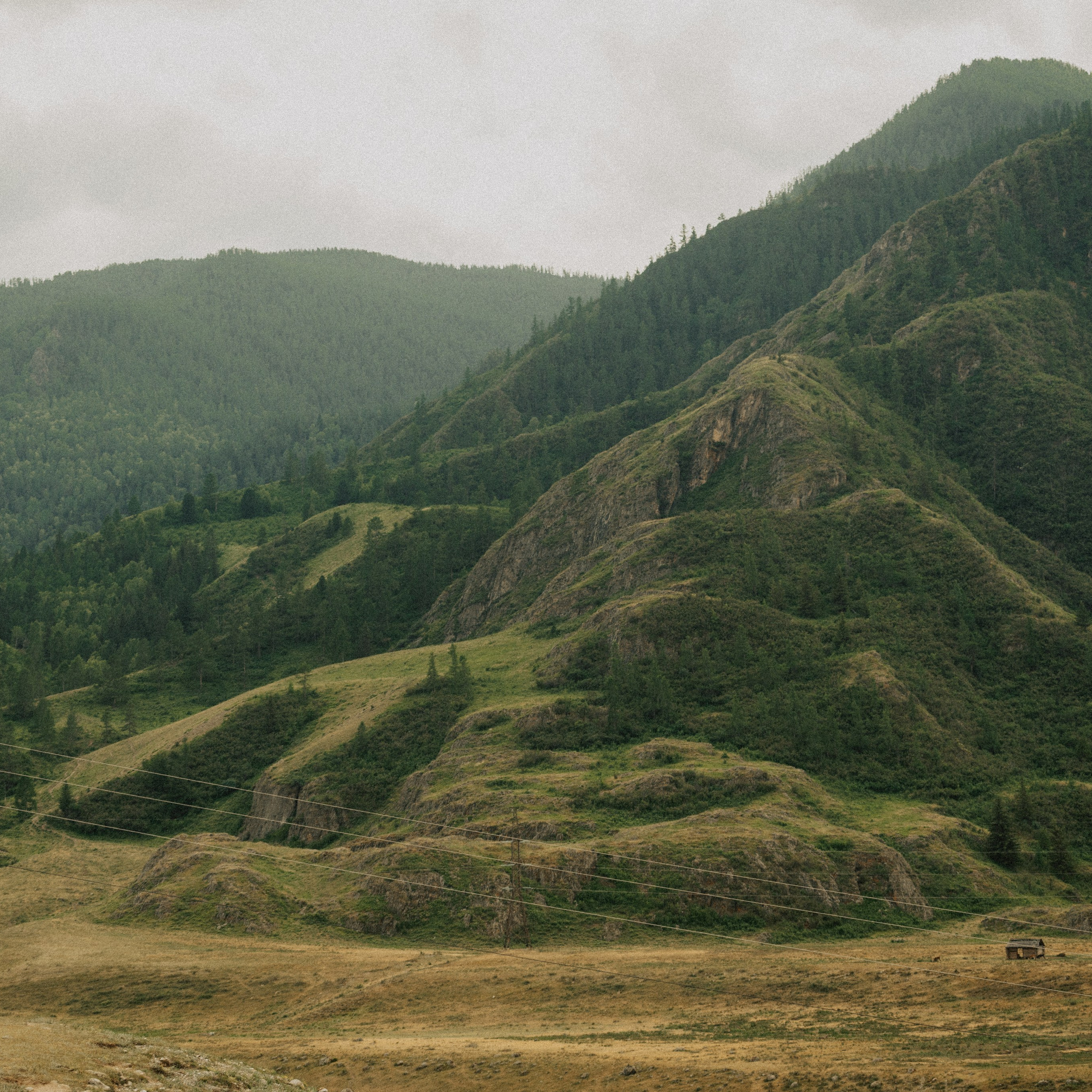 Алтай. Контент съемка | Мобильный фотограф Ириша Гришина