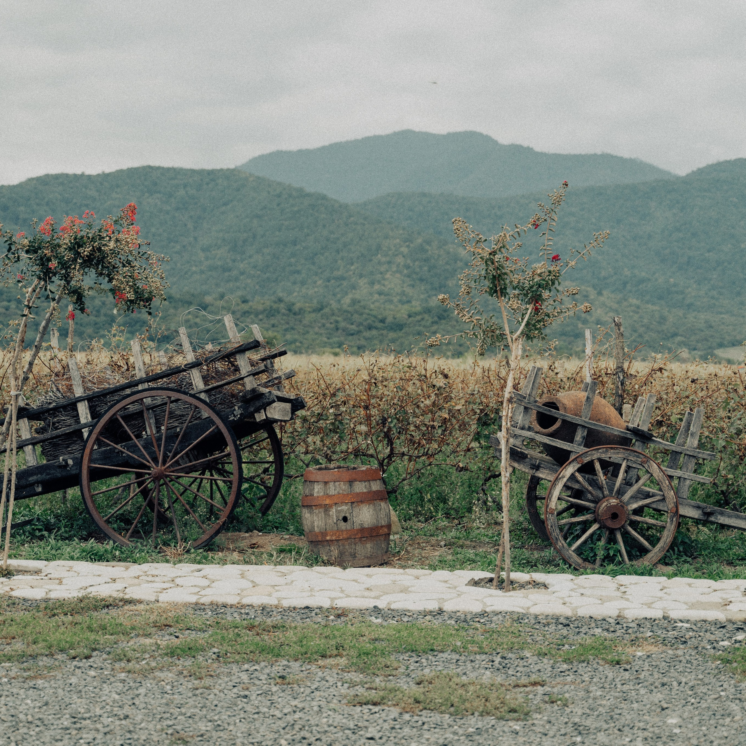 Travel story с Татьяной Соловей. Контент съемка | Мобильный фотограф Ириша Гришина