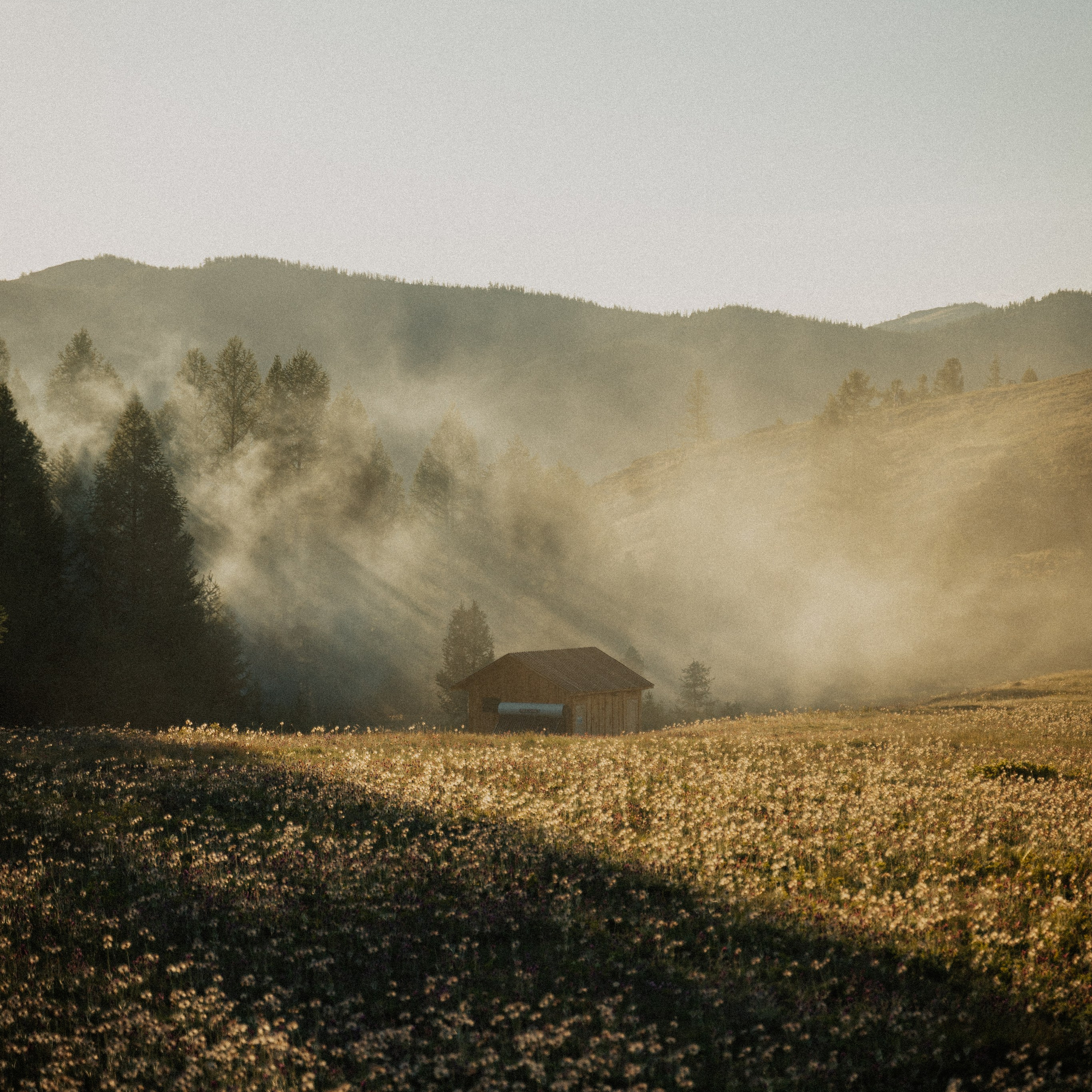Алтай. Контент съемка | Мобильный фотограф Ириша Гришина