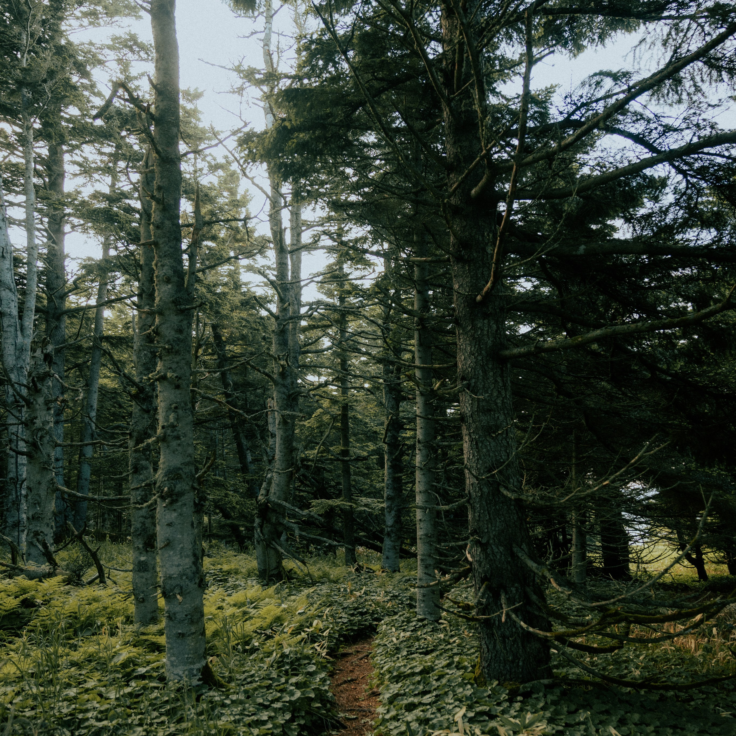 Сахалин. Контент съемка | Мобильный фотограф Ириша Гришина