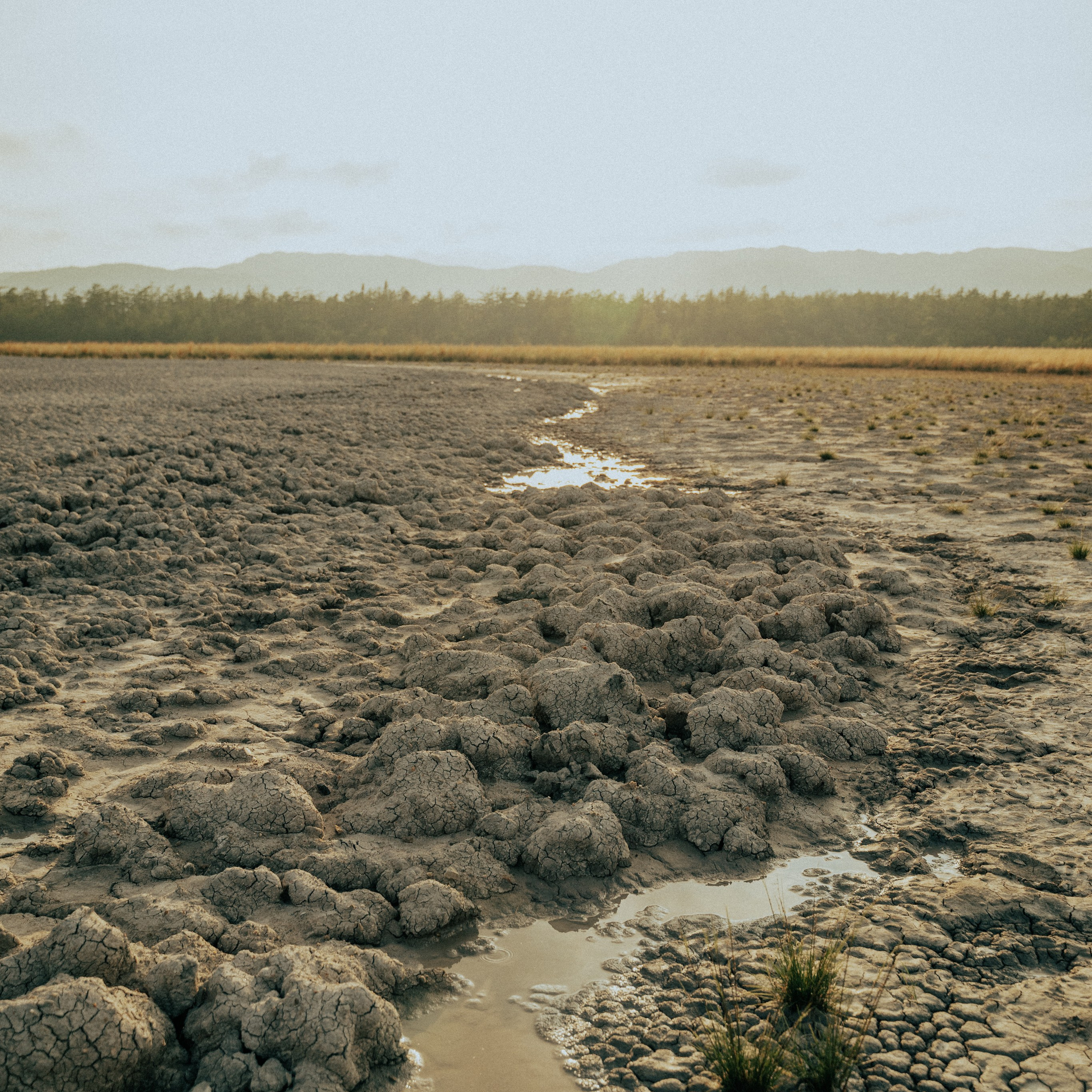 Сахалин. Контент съемка | Мобильный фотограф Ириша Гришина