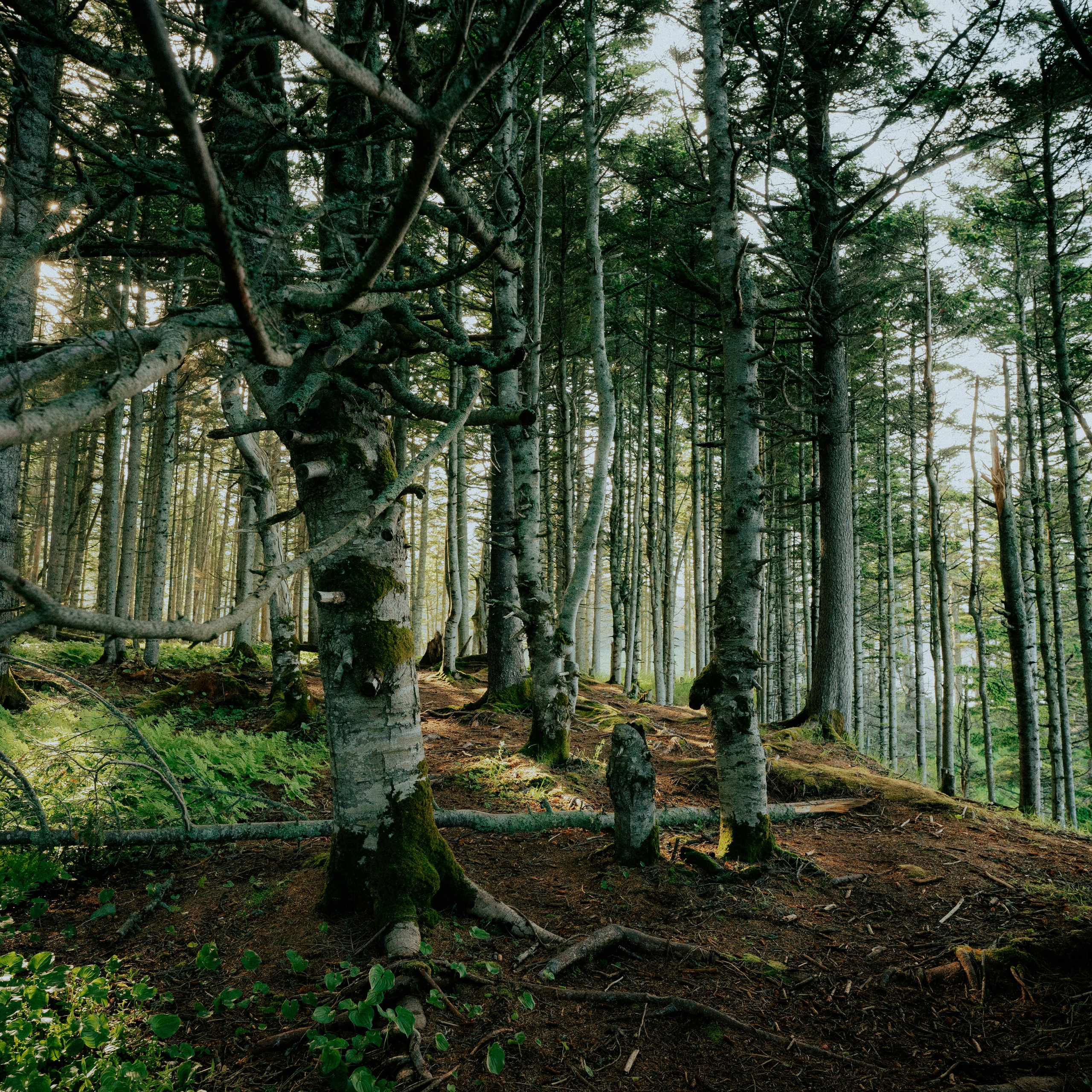 Сахалин. Контент съемка | Мобильный фотограф Ириша Гришина