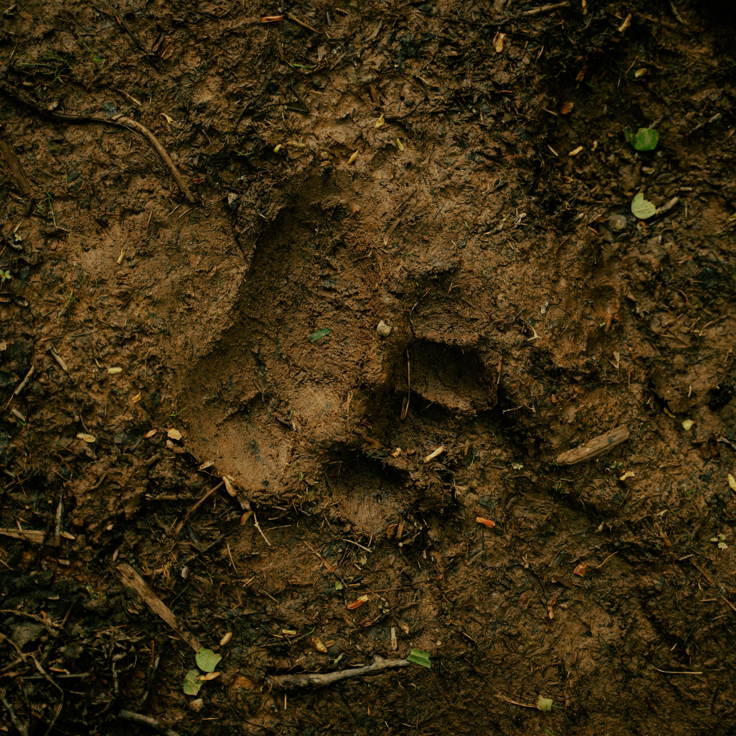 Сахалин. Контент съемка | Мобильный фотограф Ириша Гришина