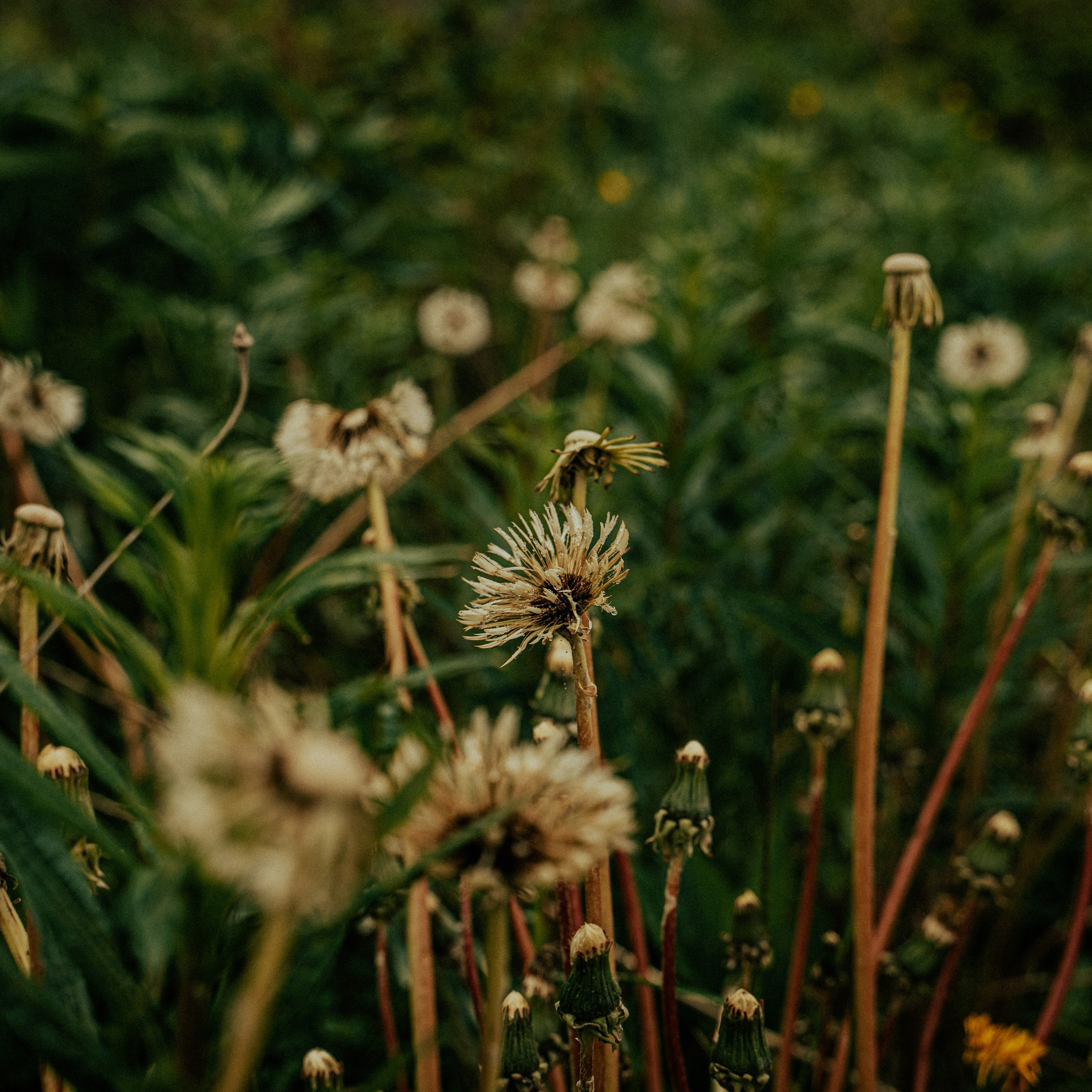 Сахалин. Контент съемка | Мобильный фотограф Ириша Гришина