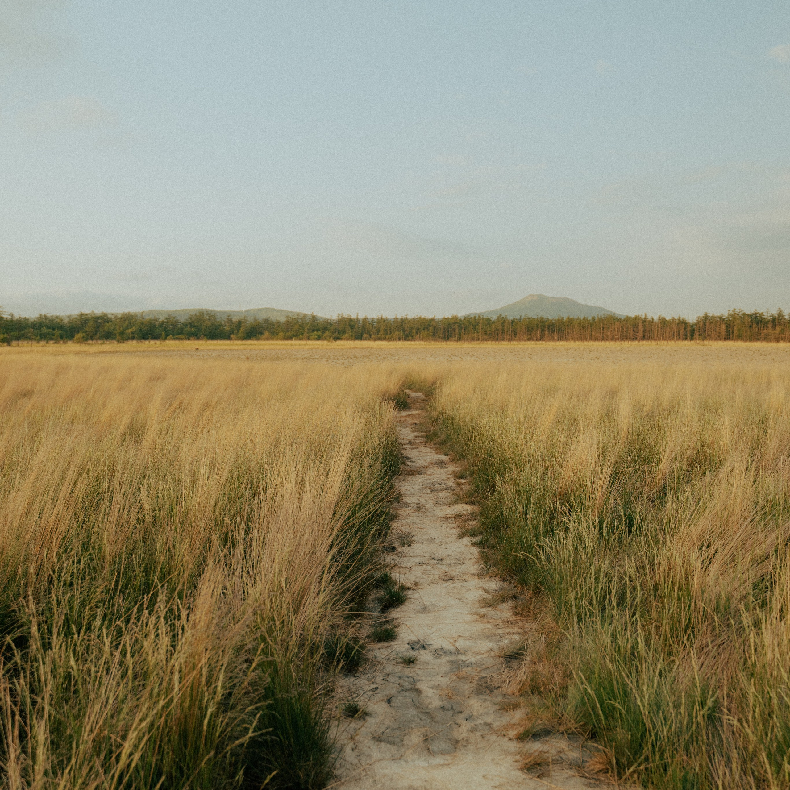 Сахалин. Контент съемка | Мобильный фотограф Ириша Гришина