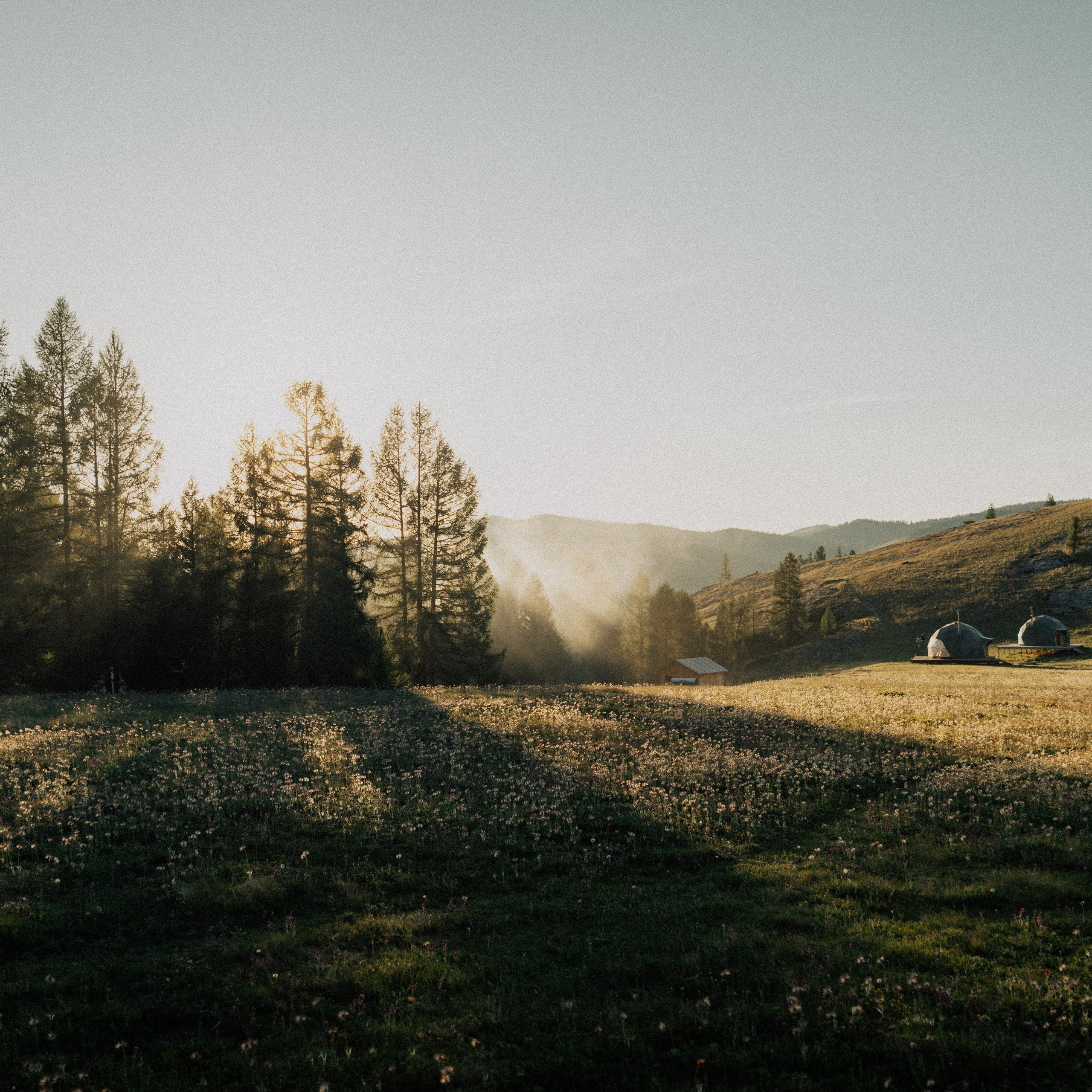 Алтай. Контент съемка | Мобильный фотограф Ириша Гришина