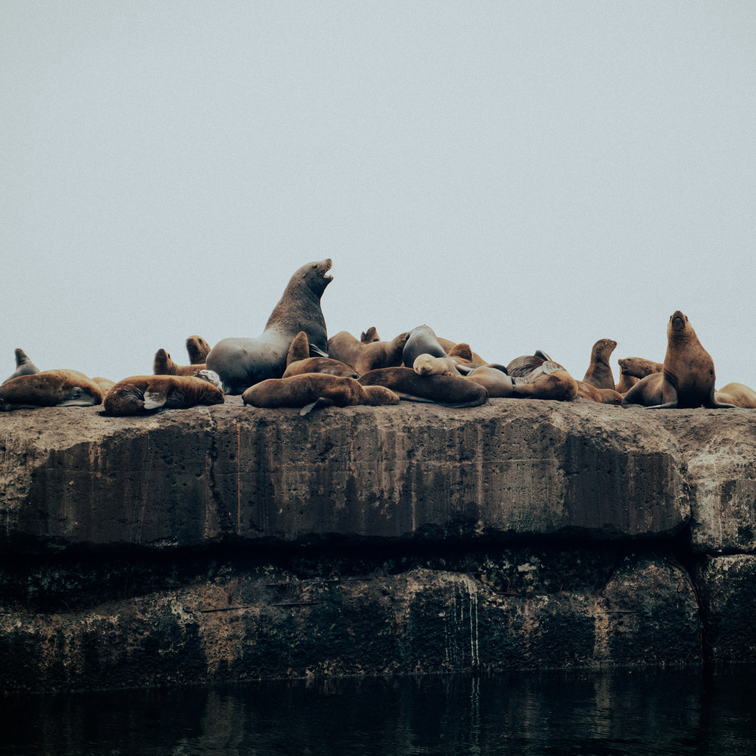 Сахалин. Контент съемка | Мобильный фотограф Ириша Гришина