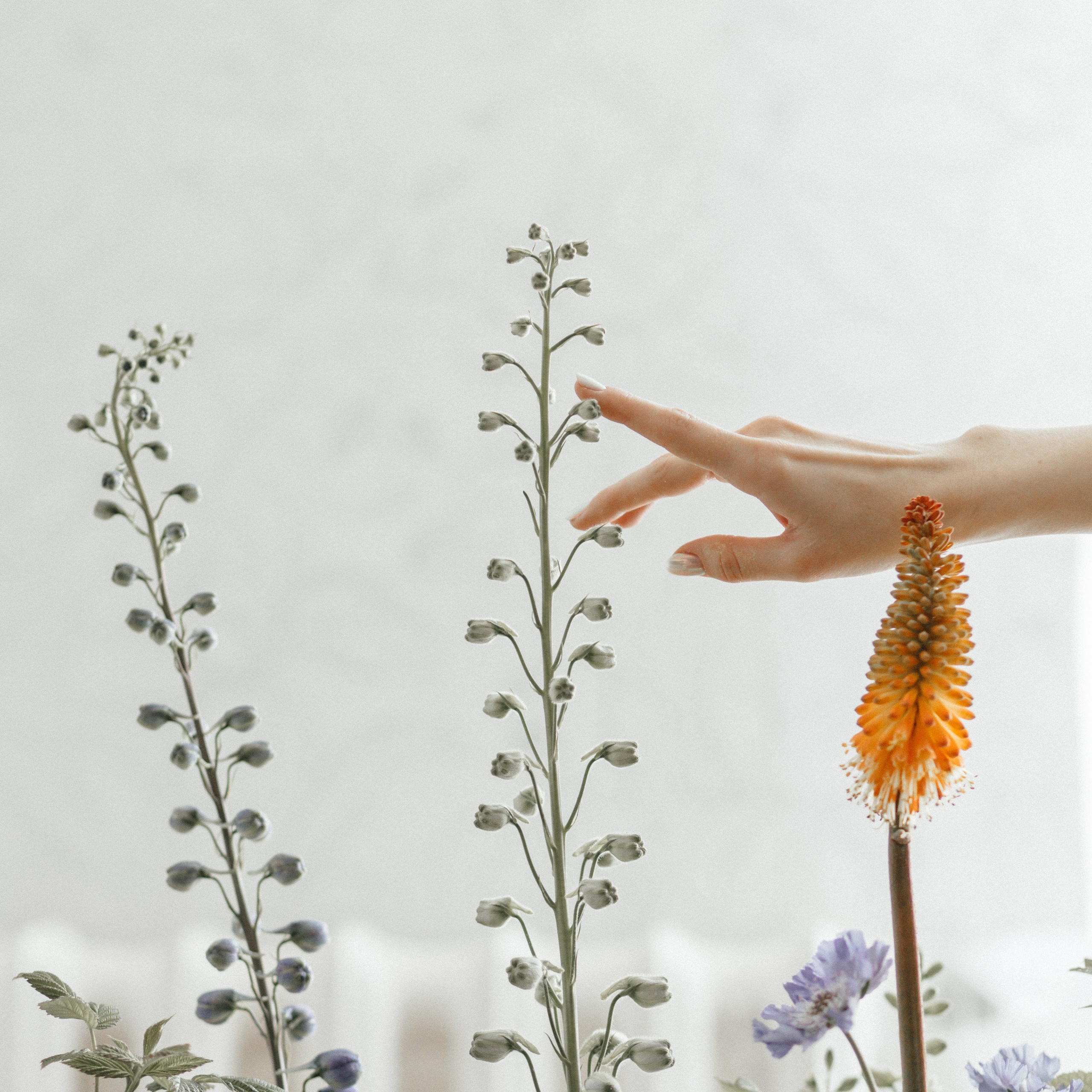 Кирилл & Александра