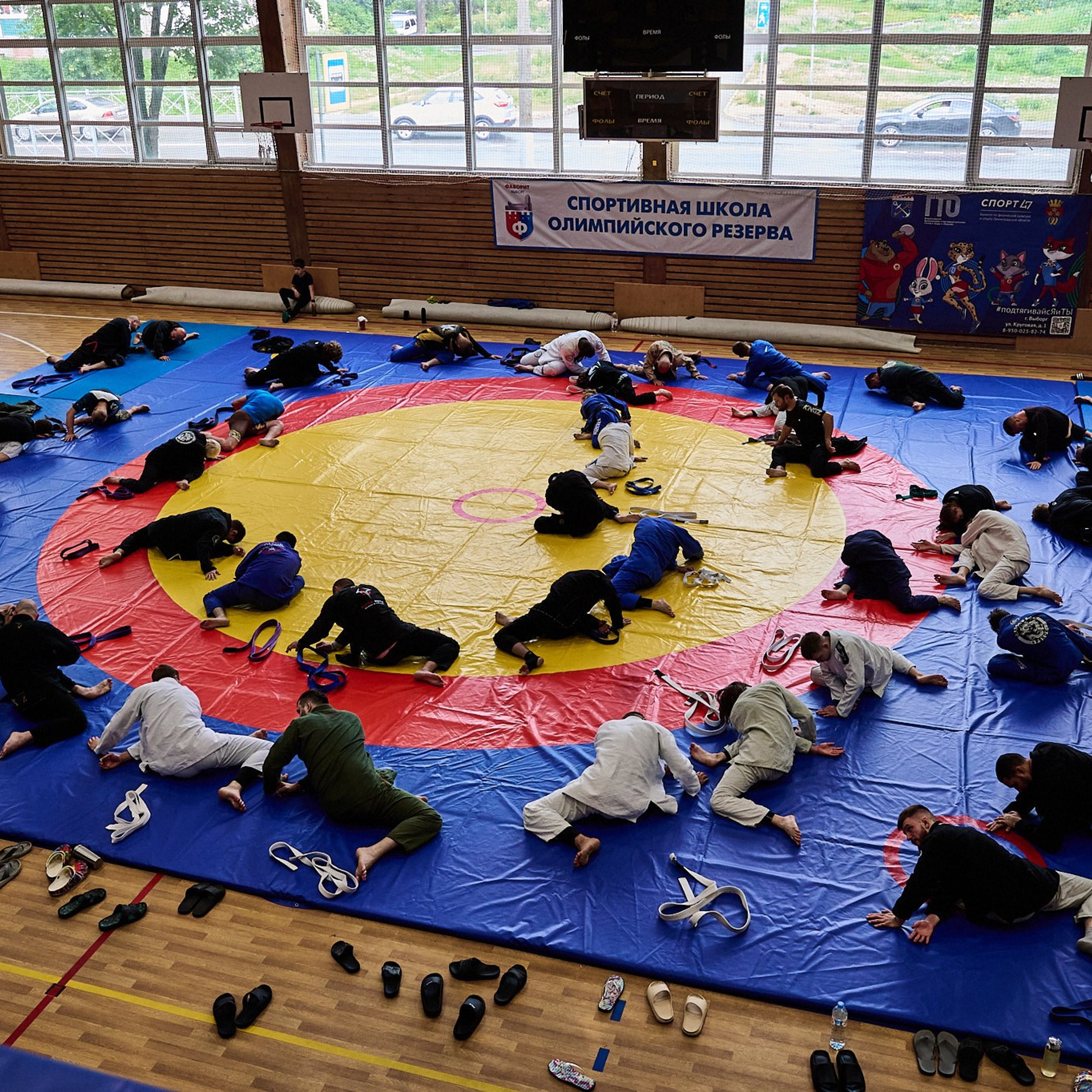 D.D. CAMP VBG Бразильское джиу-джитсу