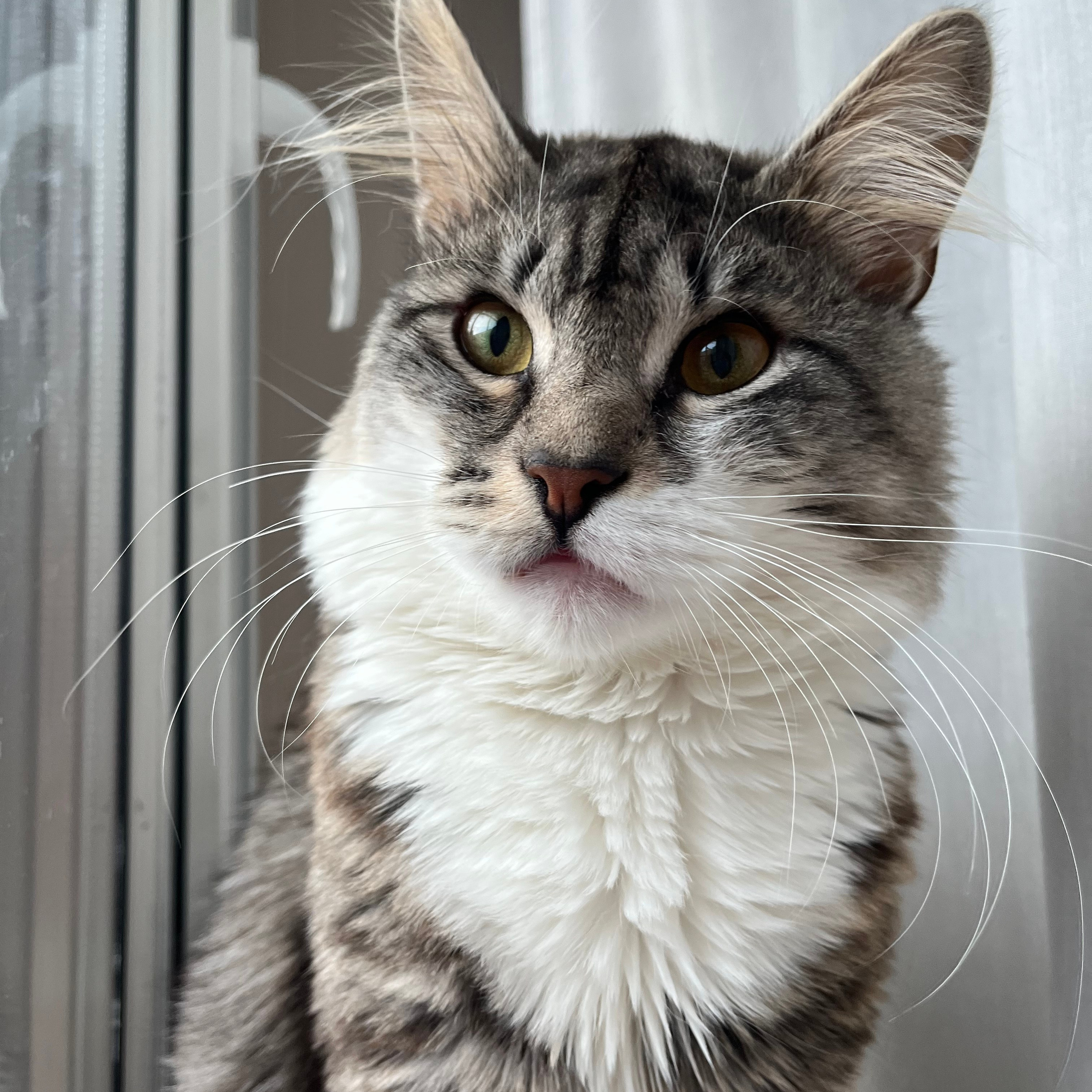 Отзывы. Репортажный фотограф в Санкт-Петербурге Диана Ларченкова