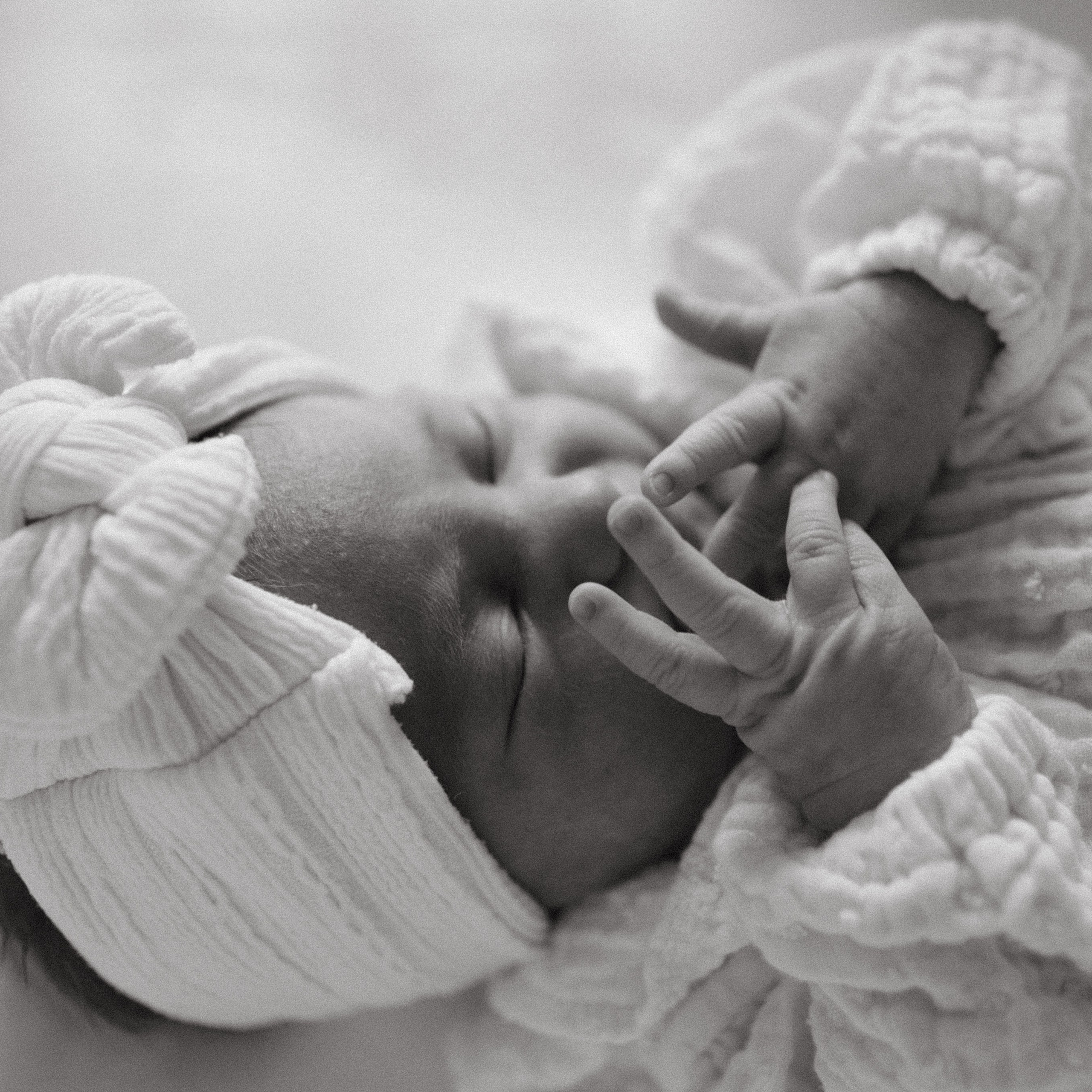 newborn
