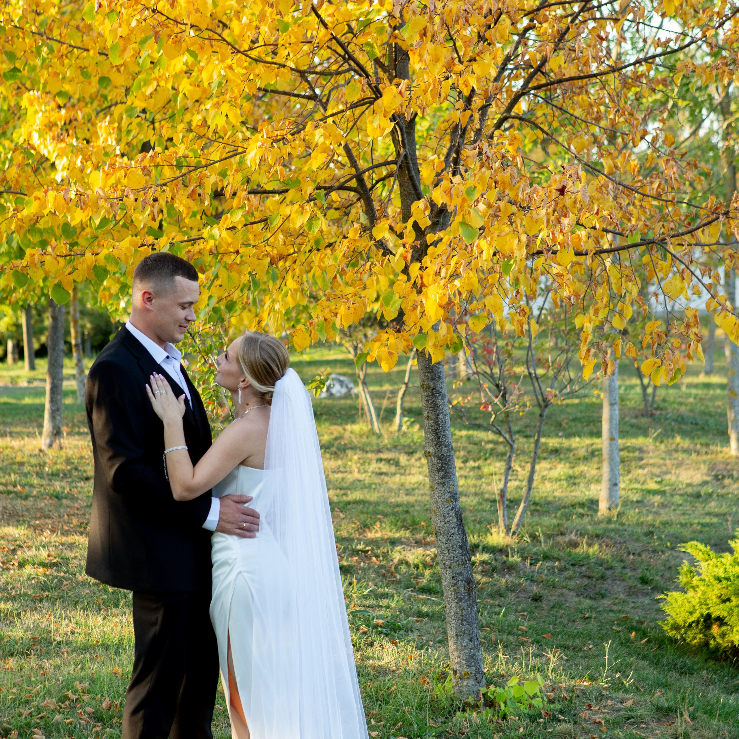 Александр и Бэлла. Свадебный фотограф в Новороссийске Илья Сараф