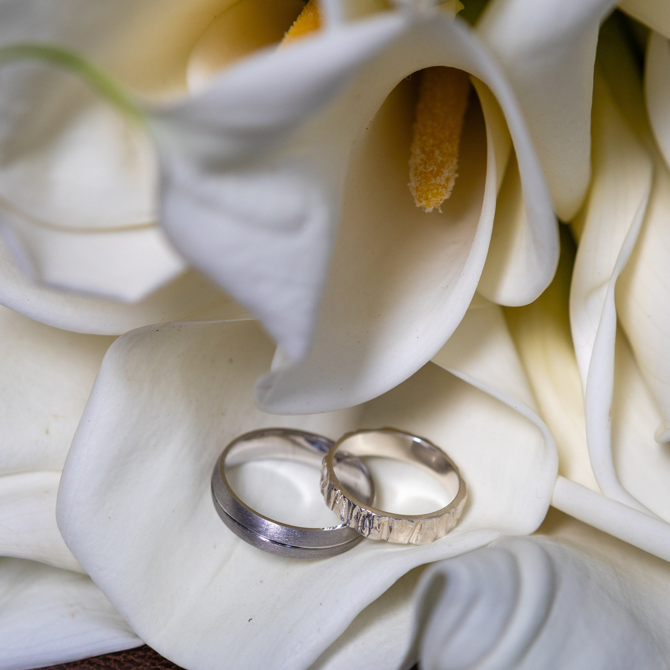 Дмитрий и Евгения. Свадебный фотограф в Новороссийске Илья Сараф