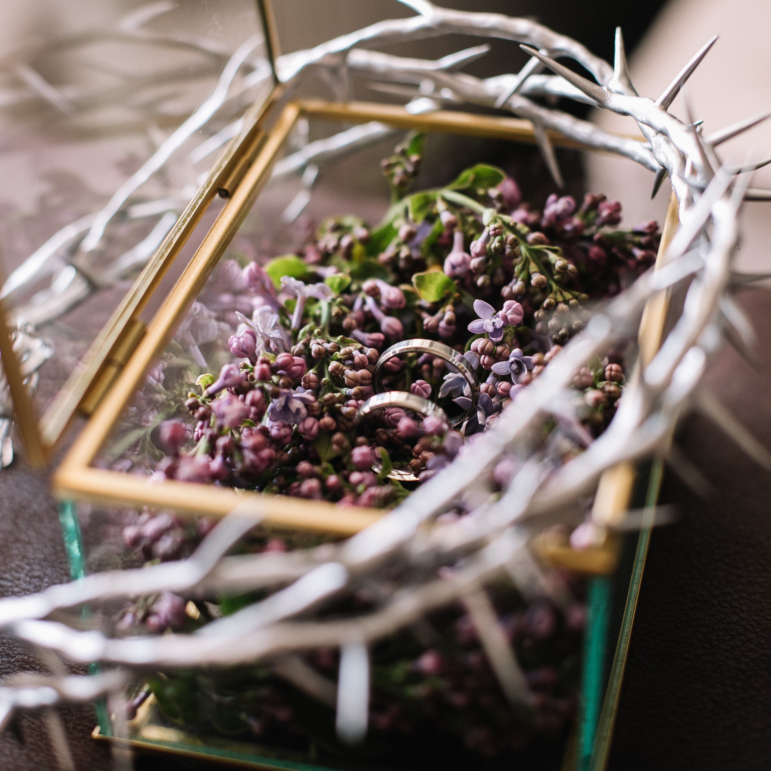 Лето, парк, неформальная