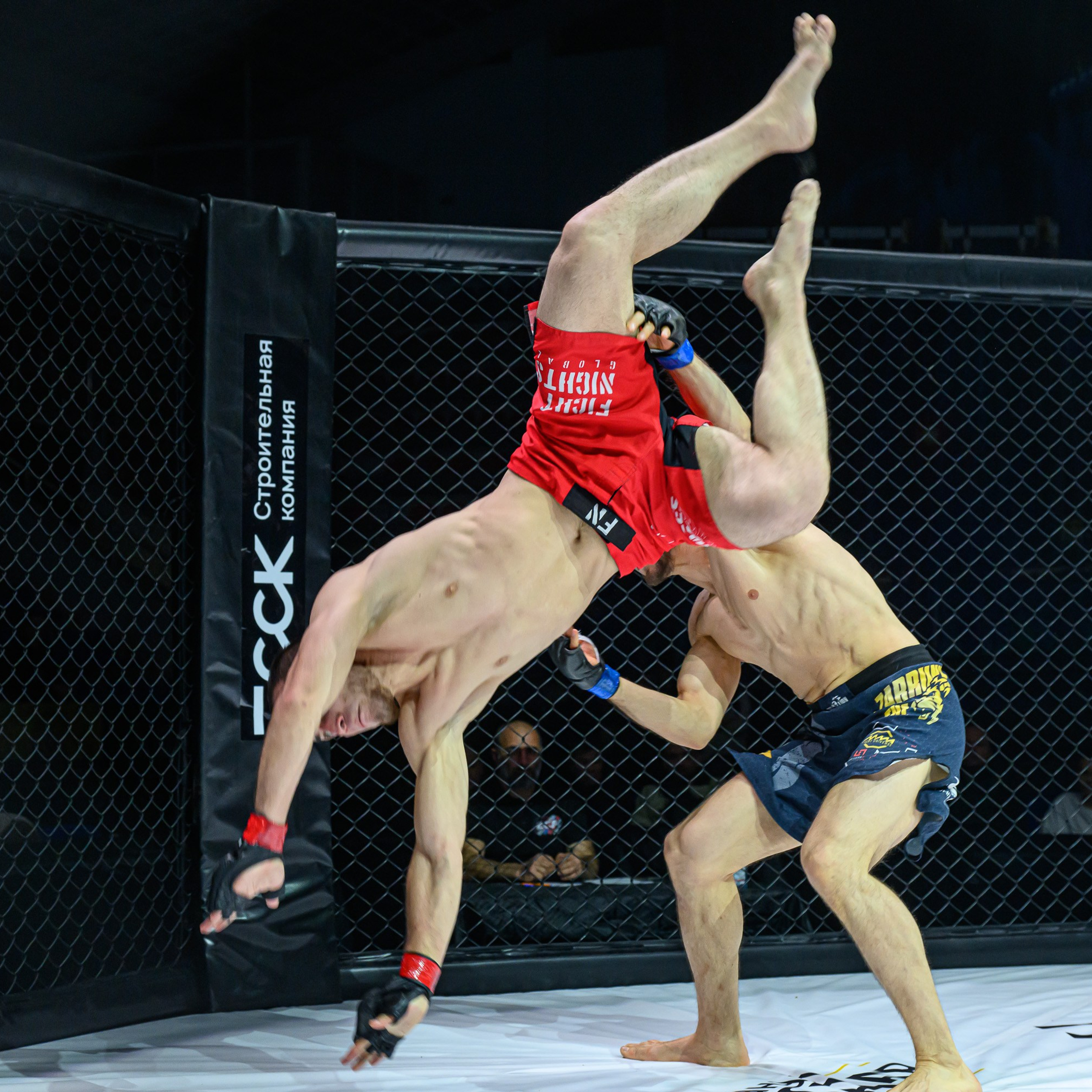 Профессиональный турнир ЕРМАК 4|ECF MMA| по смешанным единоборствам