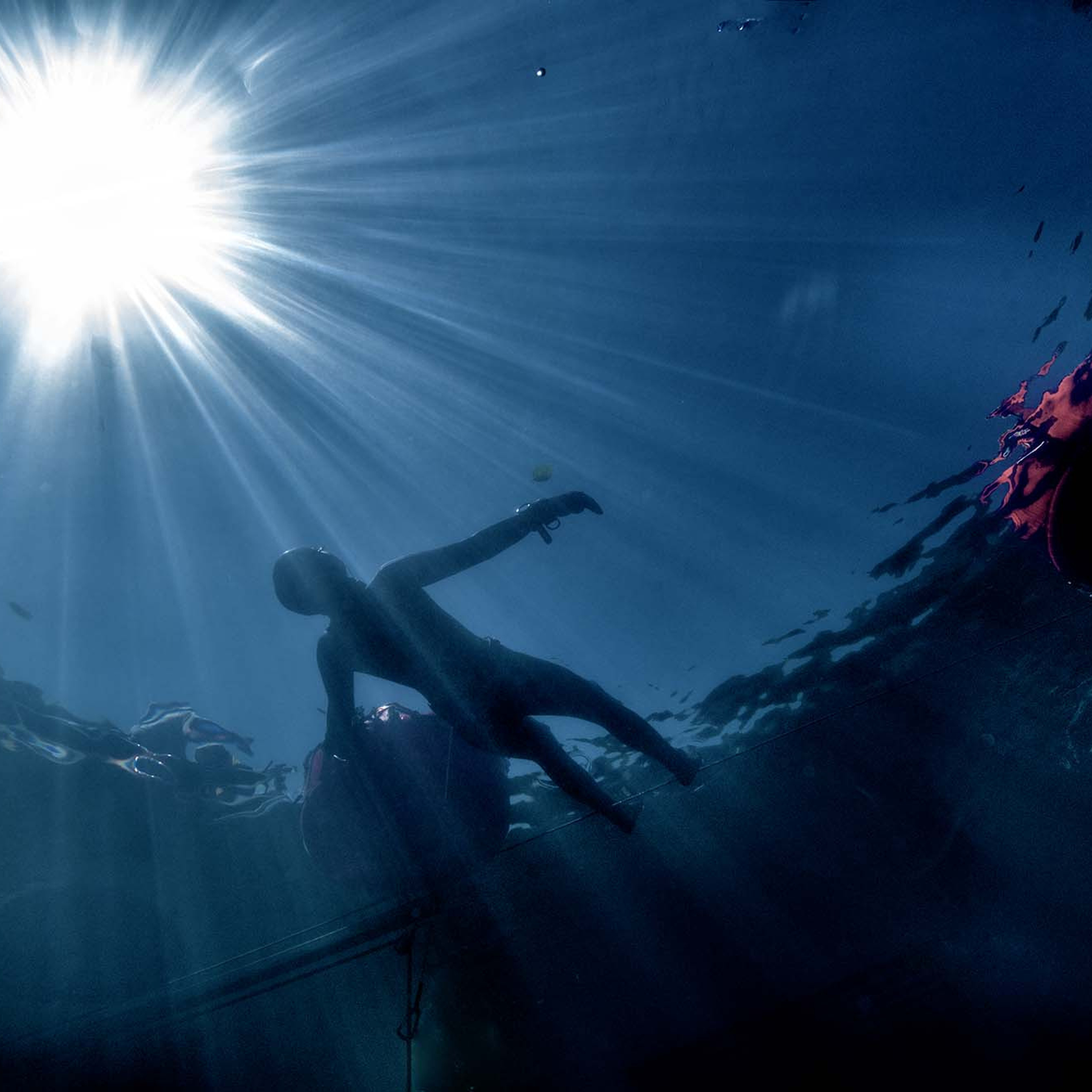 Дайвинг и фридайвинг