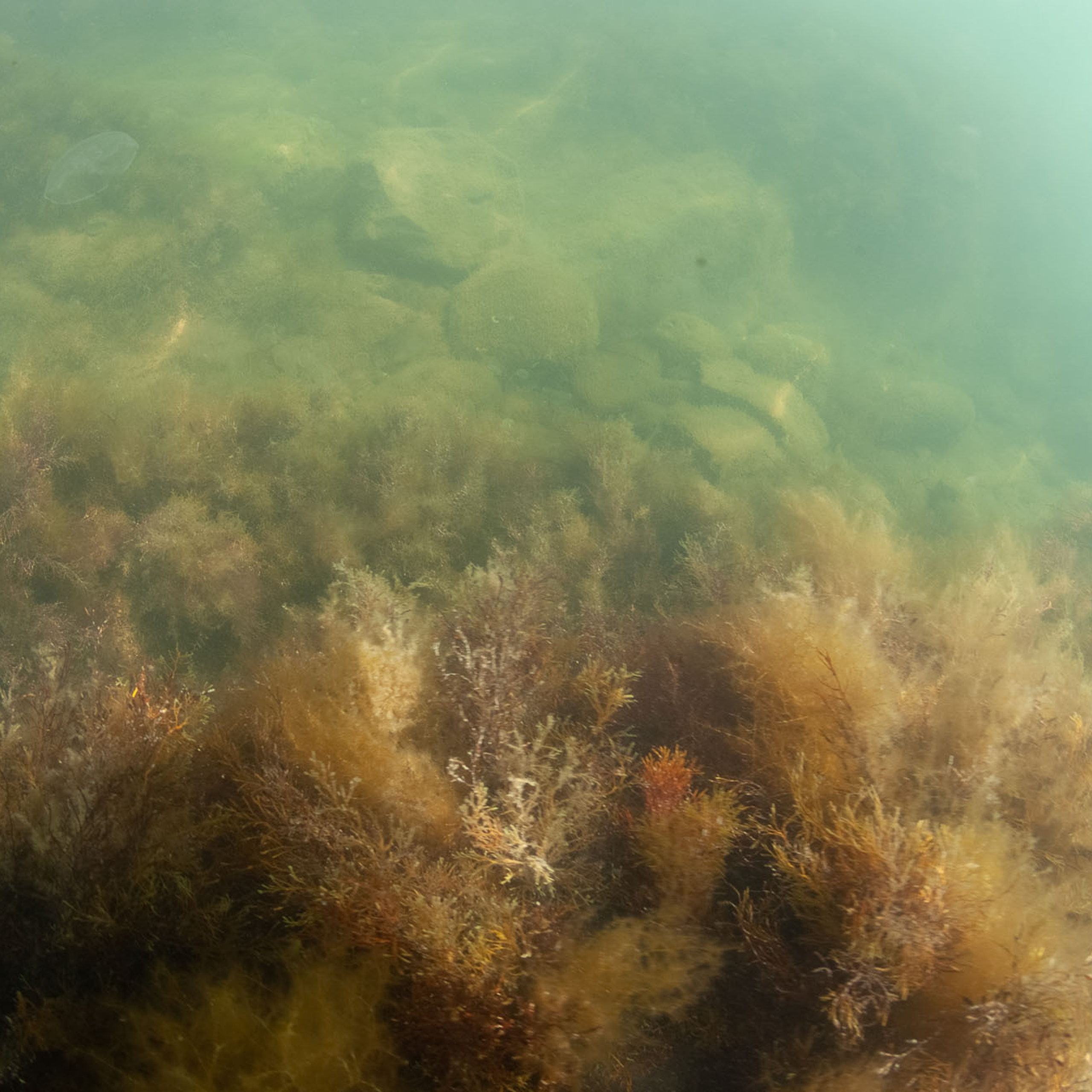 Отзывы. Профессиональная фотосъемка. Ростов-на-Дону