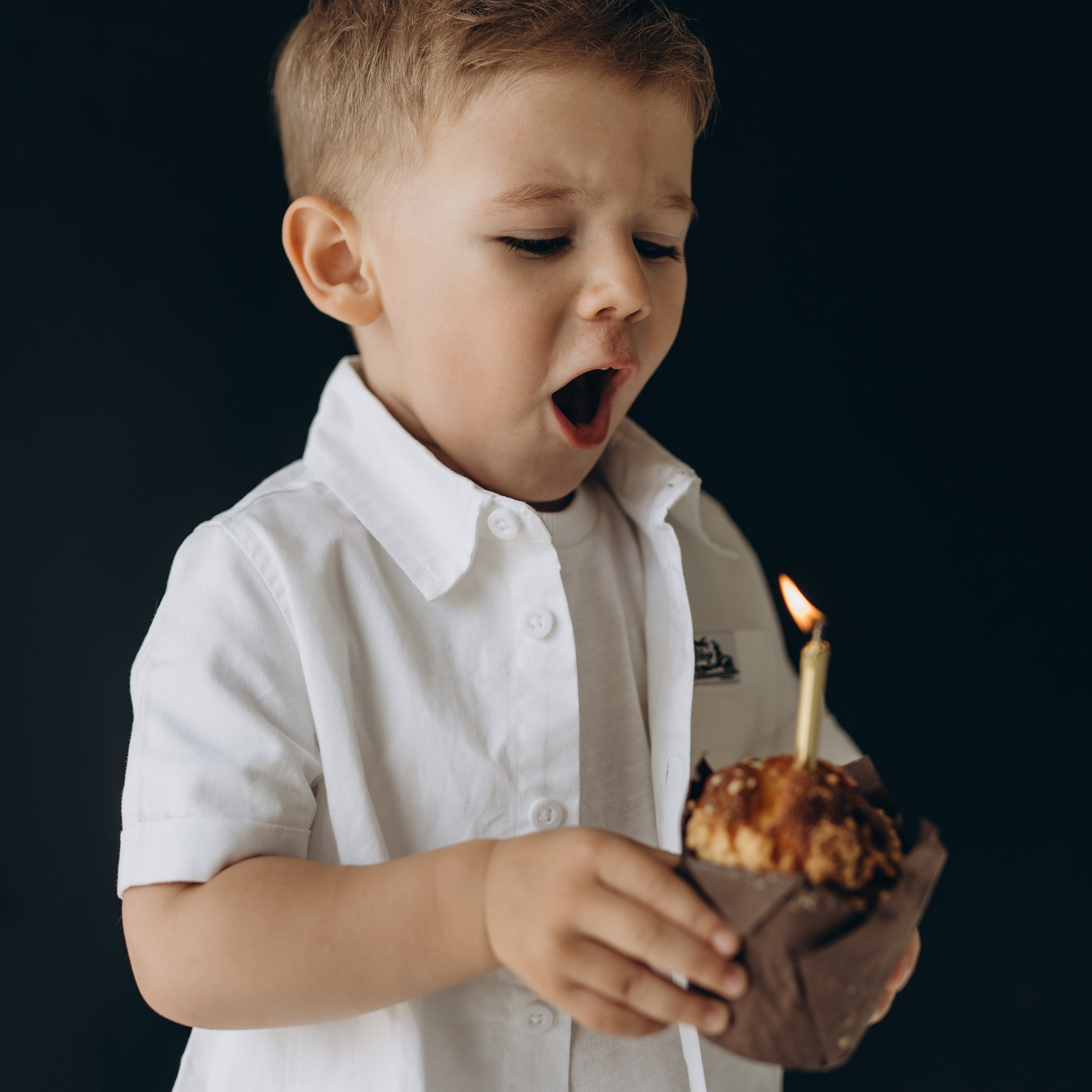 День Рождения Льва