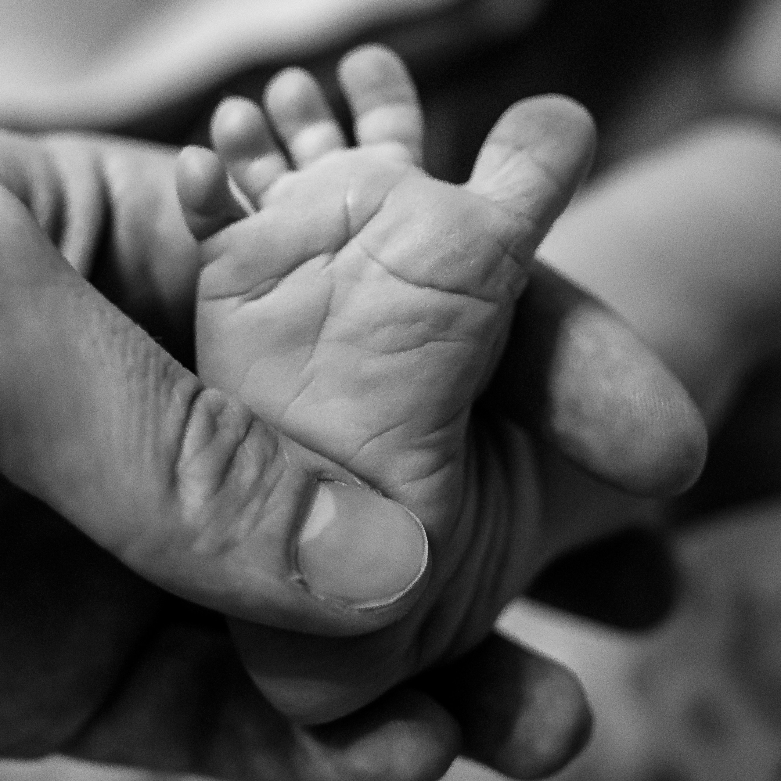 Отзывы о фотографе Екатерине Сысоевой. Фотограф на роды в Санкт-Петербурге Екатерина Сысоева