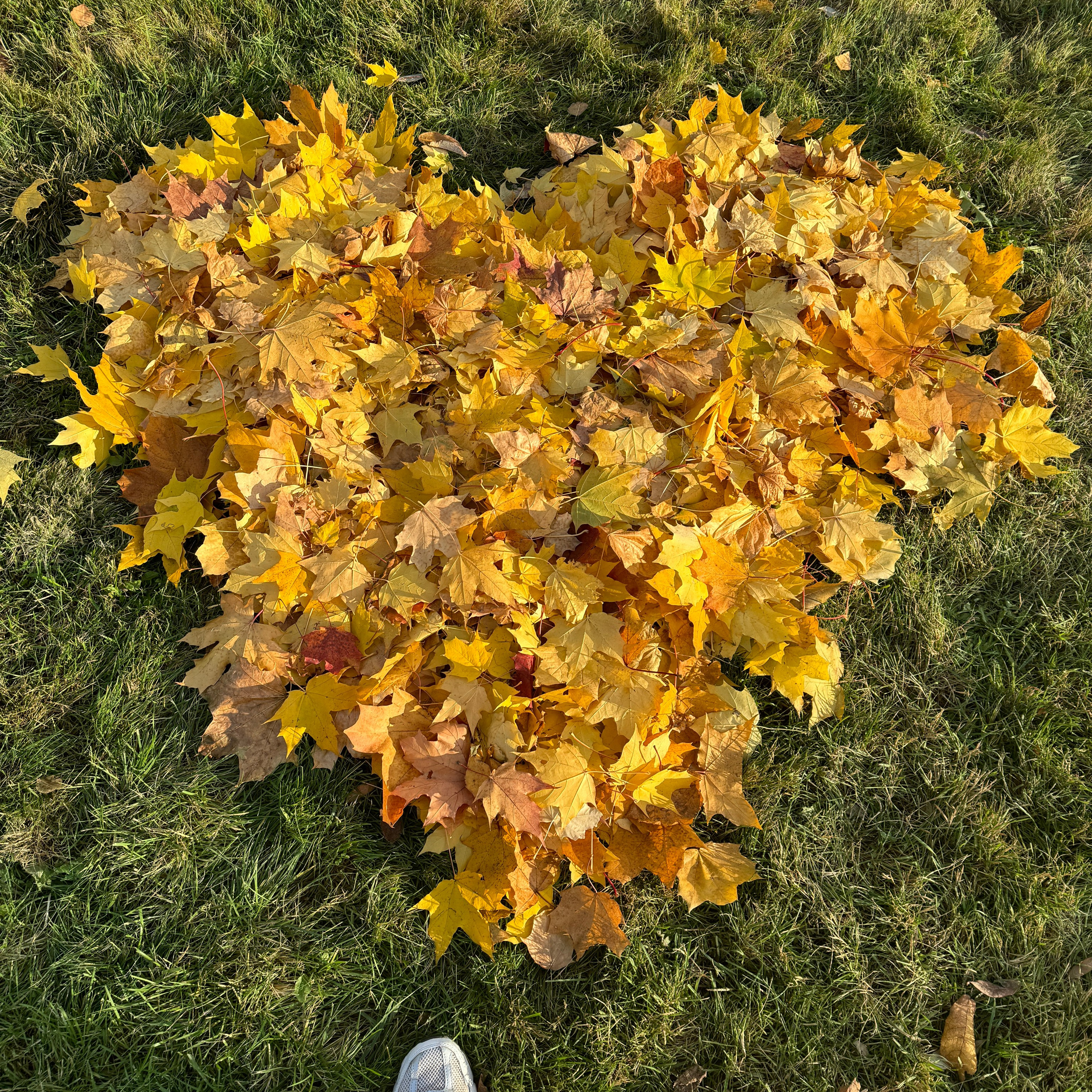 Отзывы о фотографе Екатерине Сысоевой. Фотограф на роды в Санкт-Петербурге Екатерина Сысоева