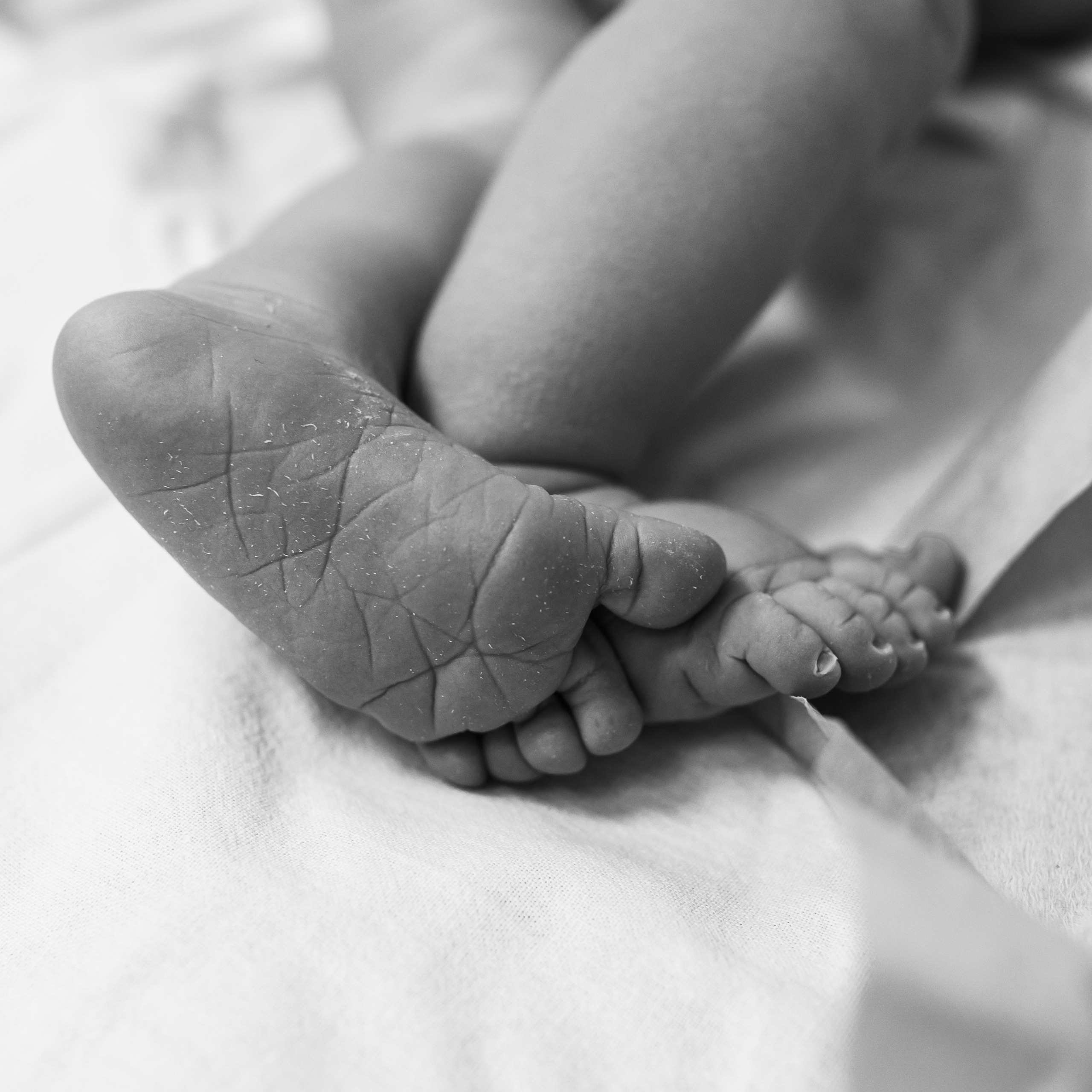 Отзывы о фотографе Екатерине Сысоевой. Фотограф на роды в Санкт-Петербурге Екатерина Сысоева