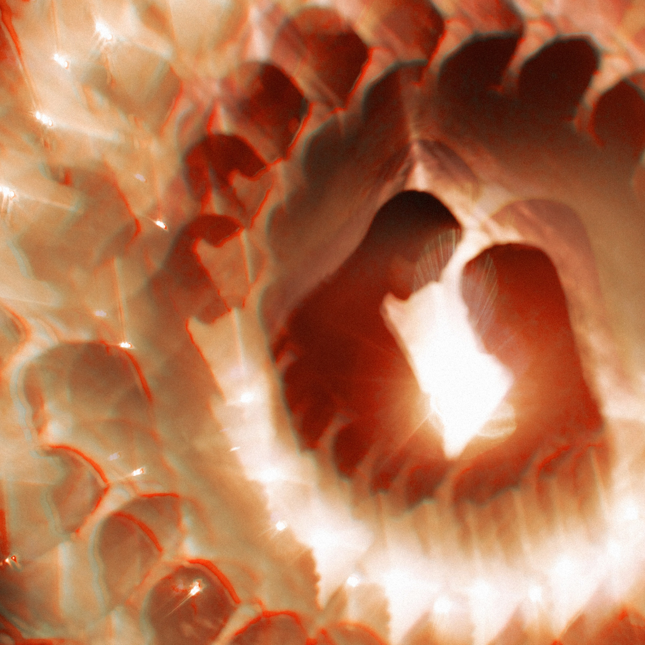 Свет внутри нас