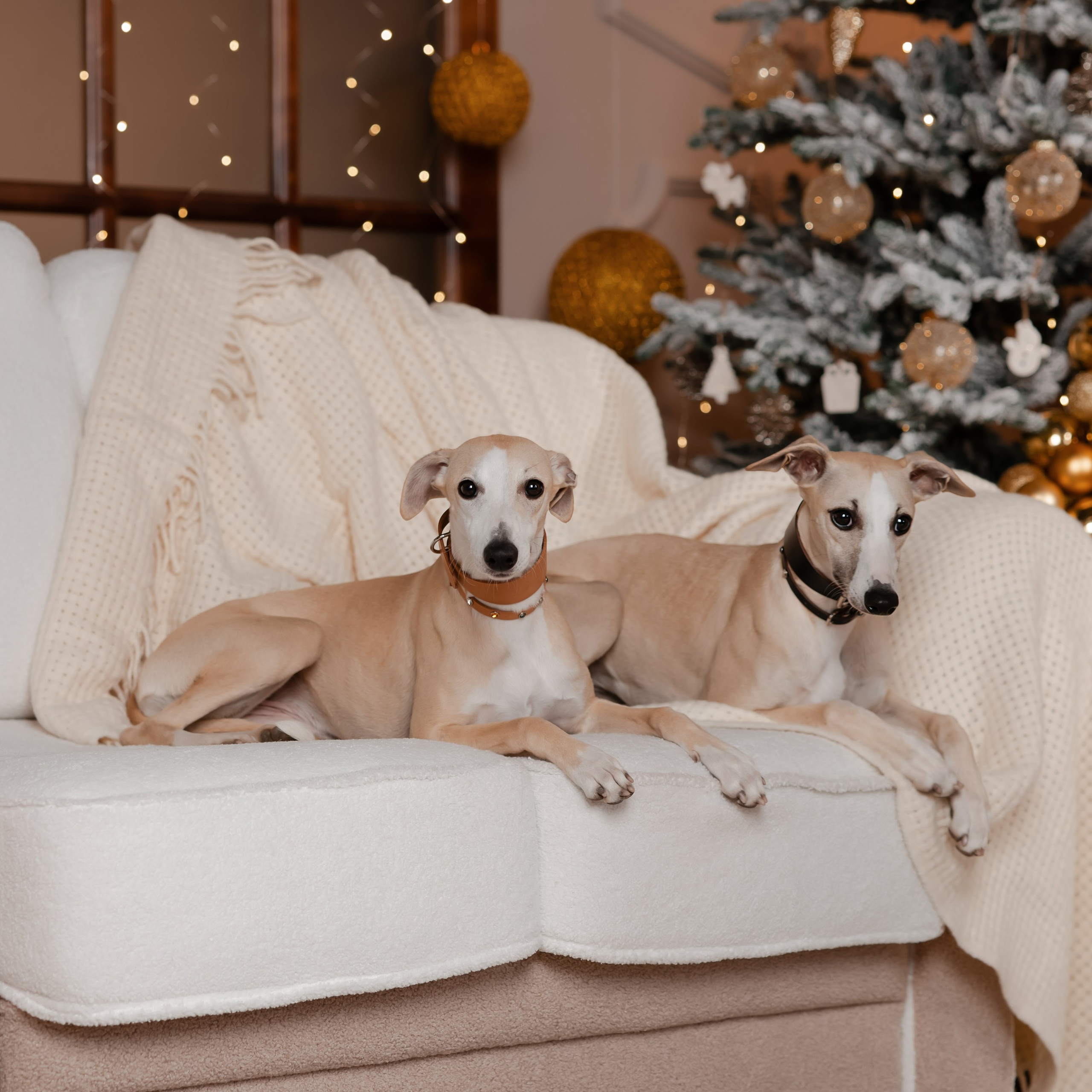 Праздник к&nbsp;нам приходит