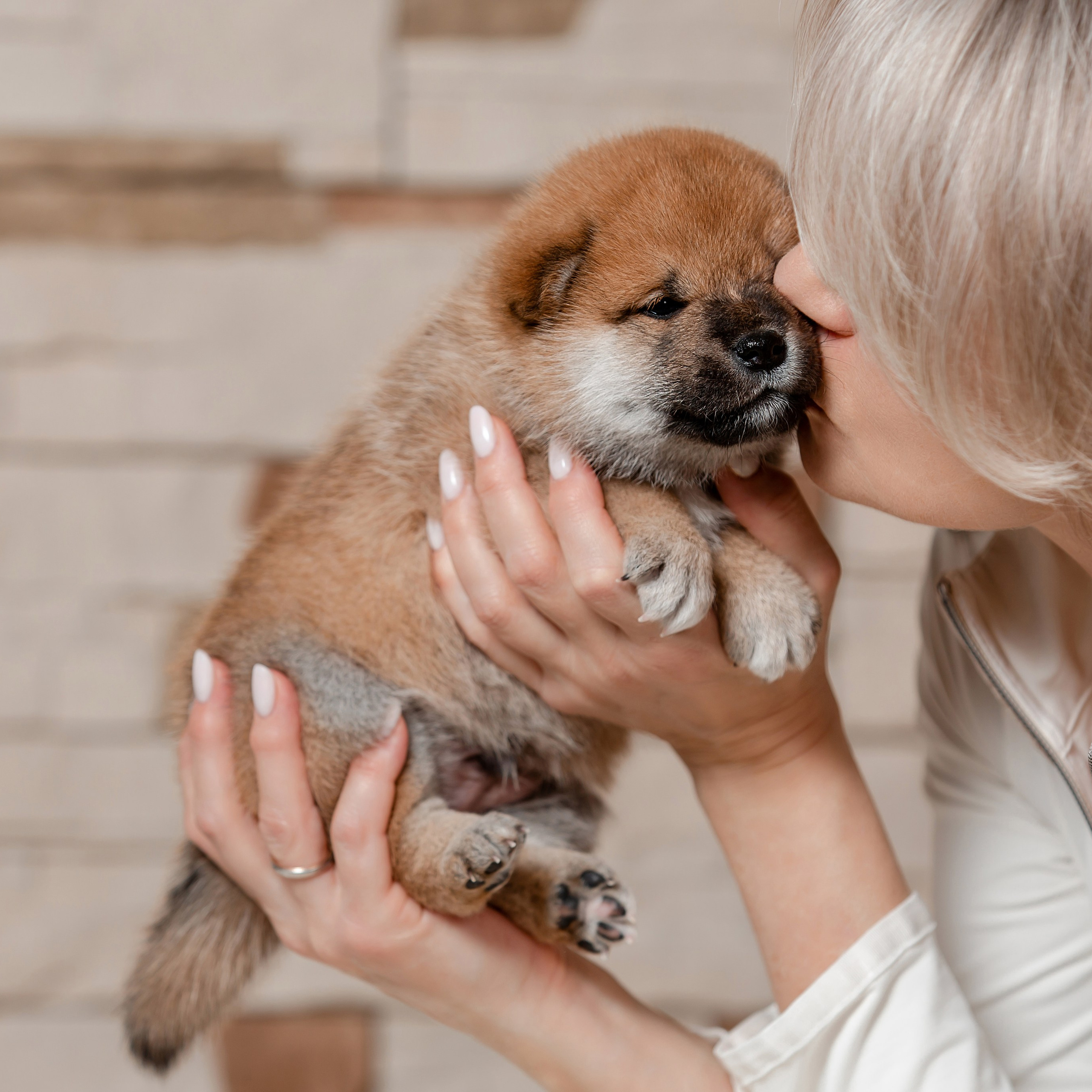 Слабость заводчика