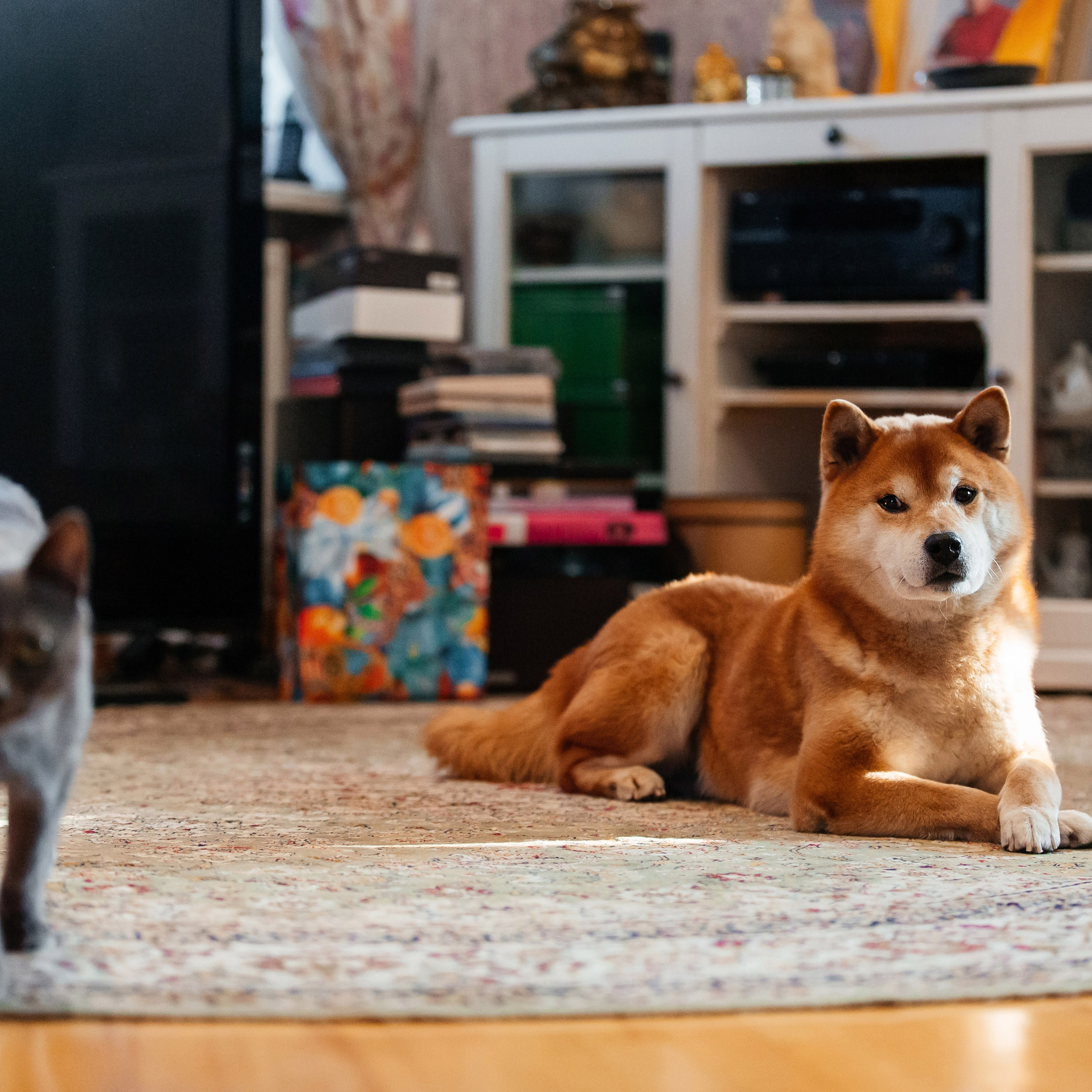 Сверкающий калейдоскоп