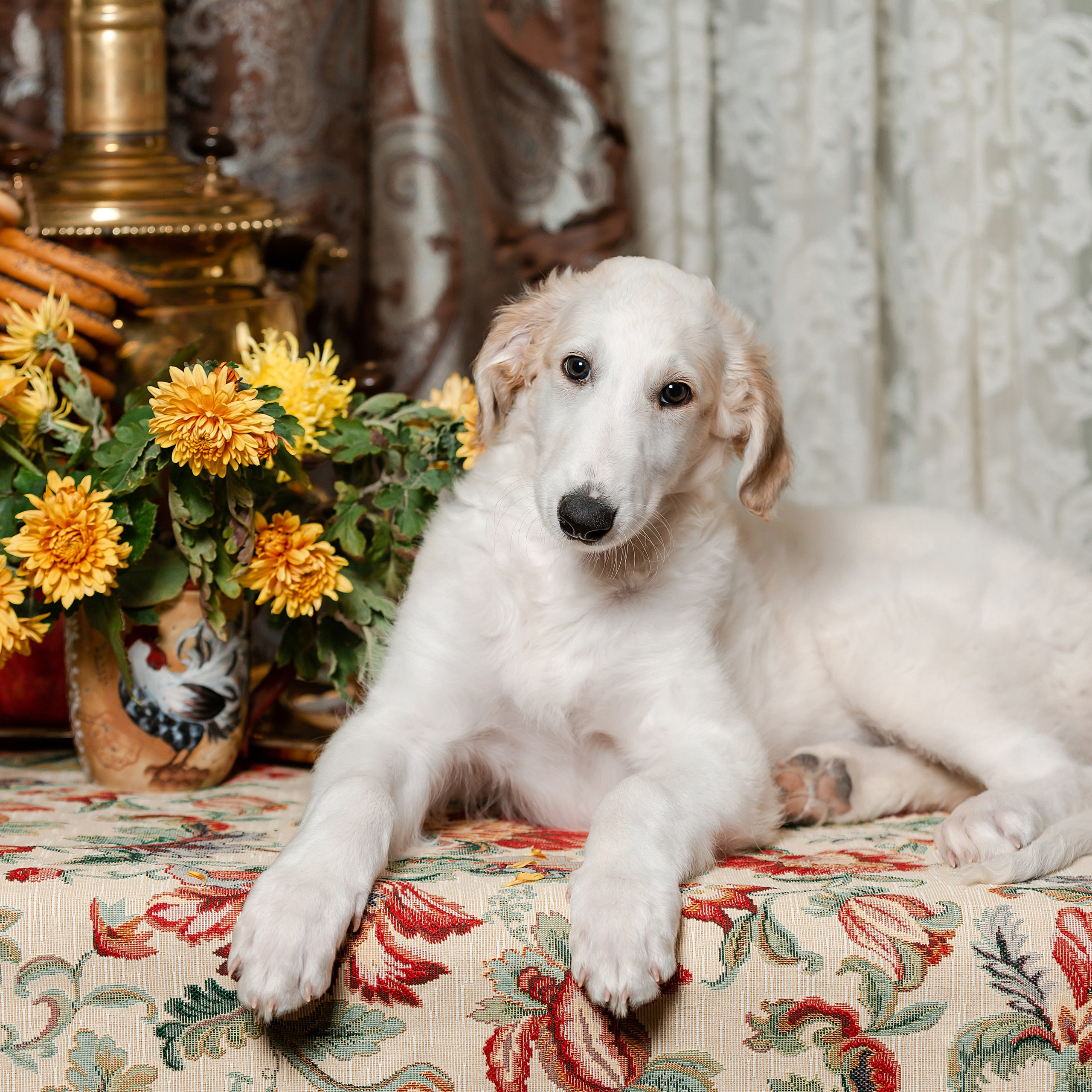 Чаепитие с сушками