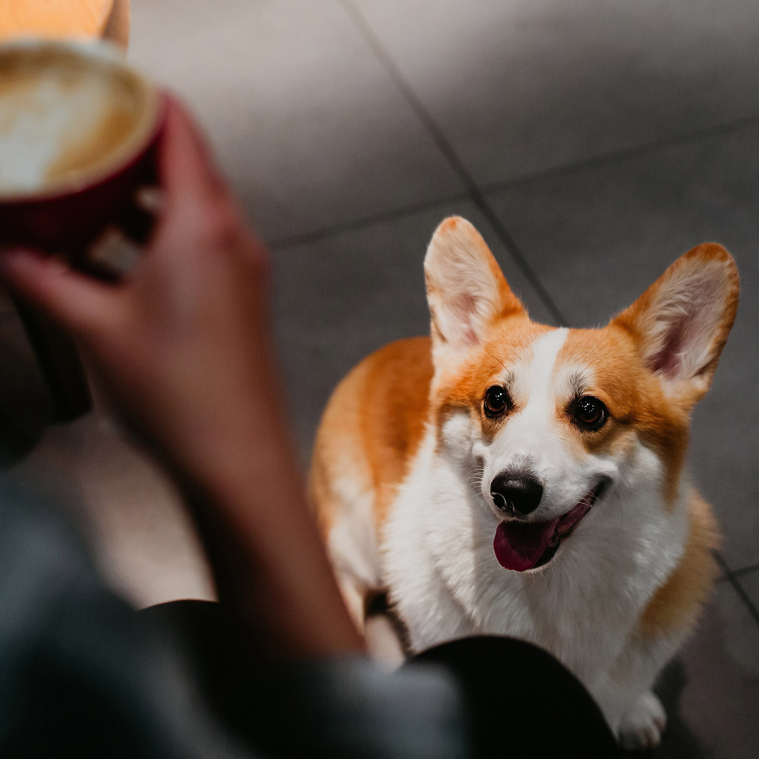 Кофейные посиделки