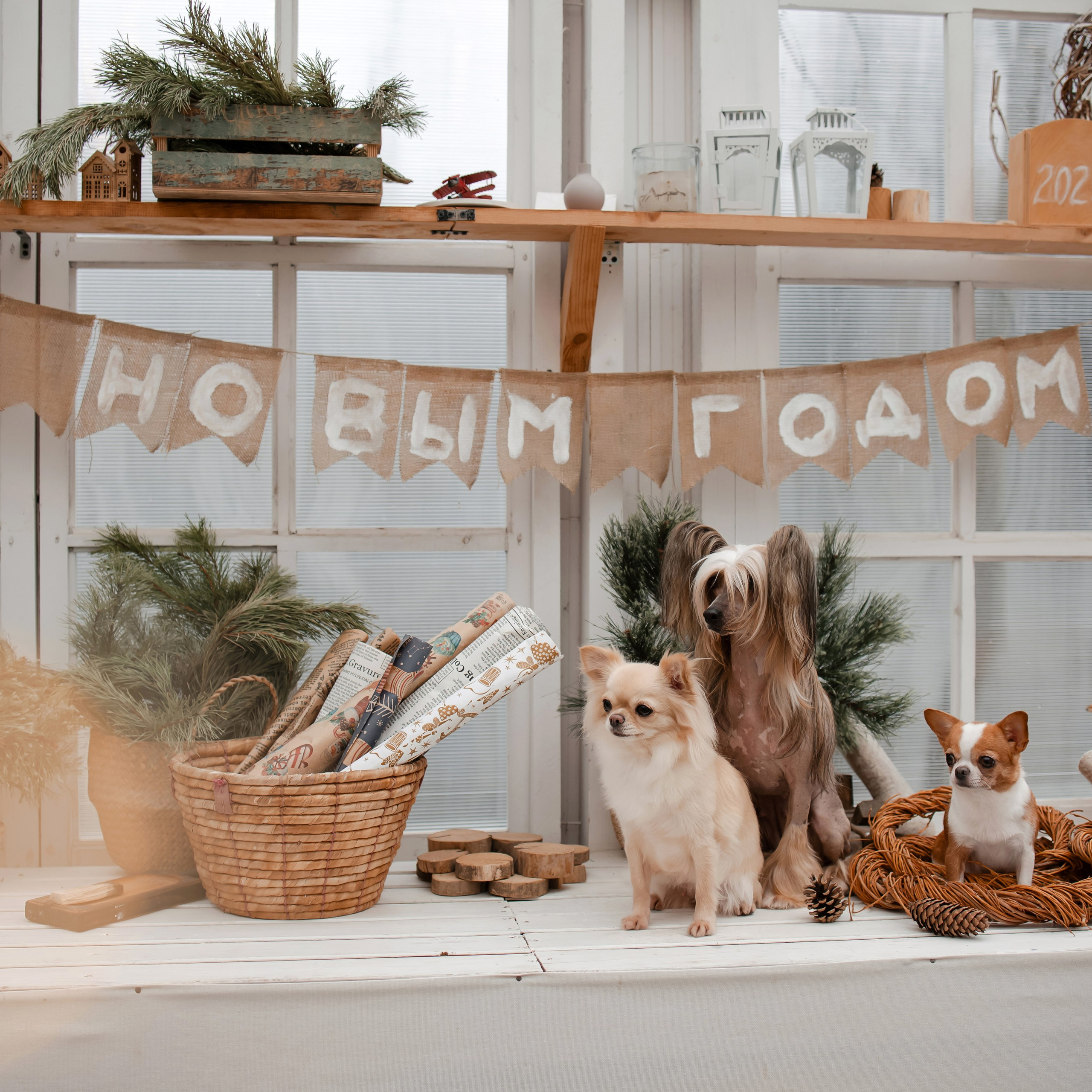 Предновогодние хлопоты