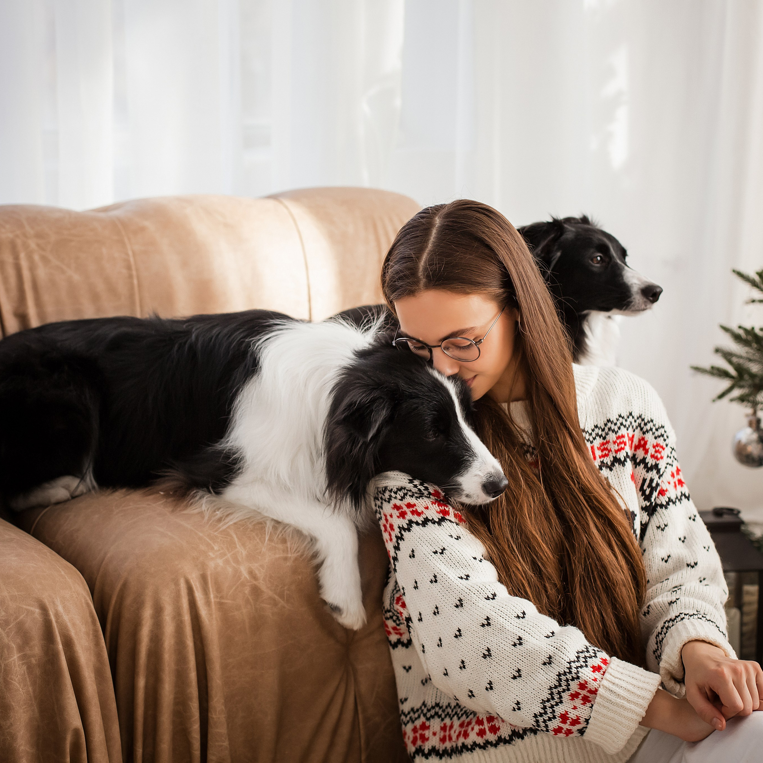 Рождественская история