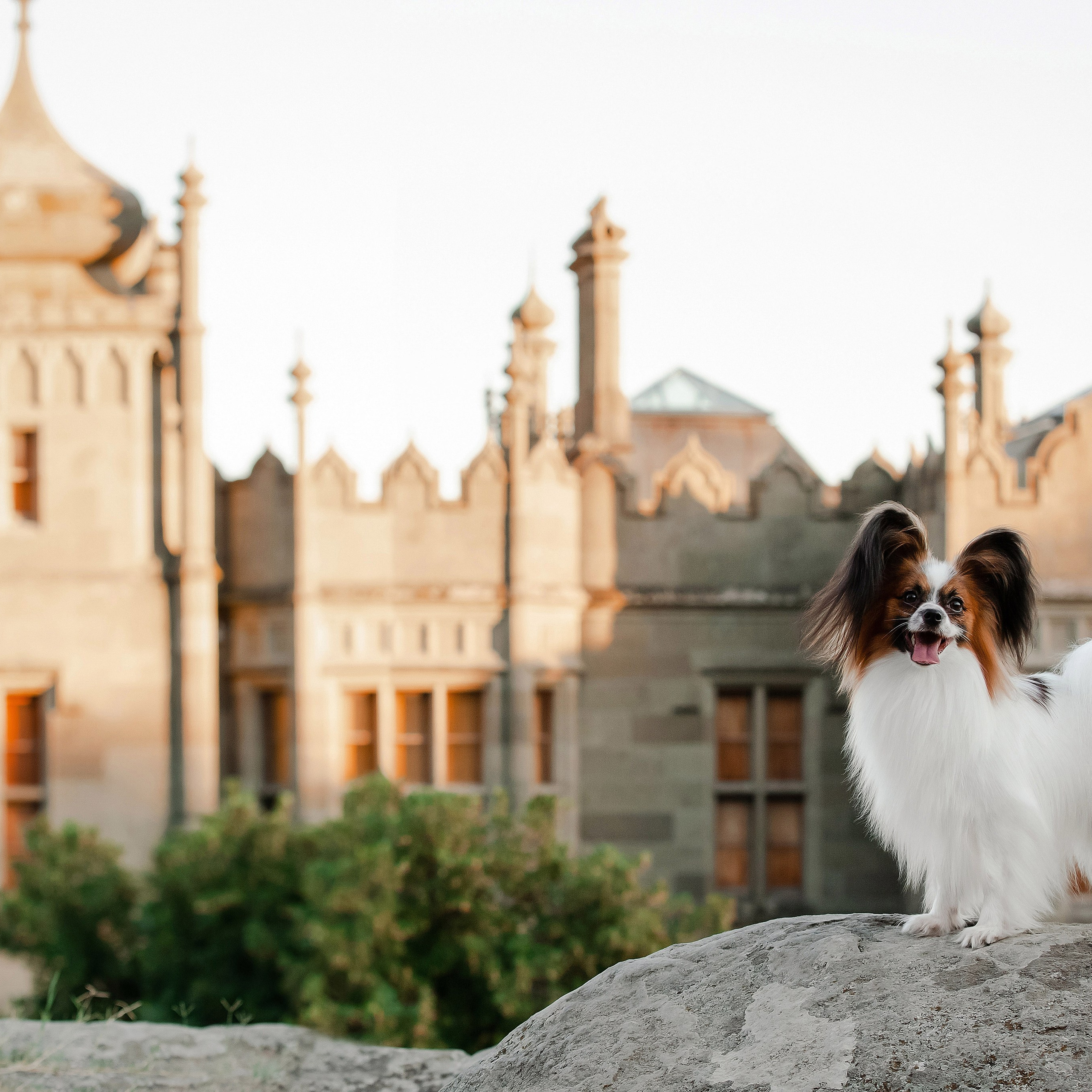 Воронцовский дворец