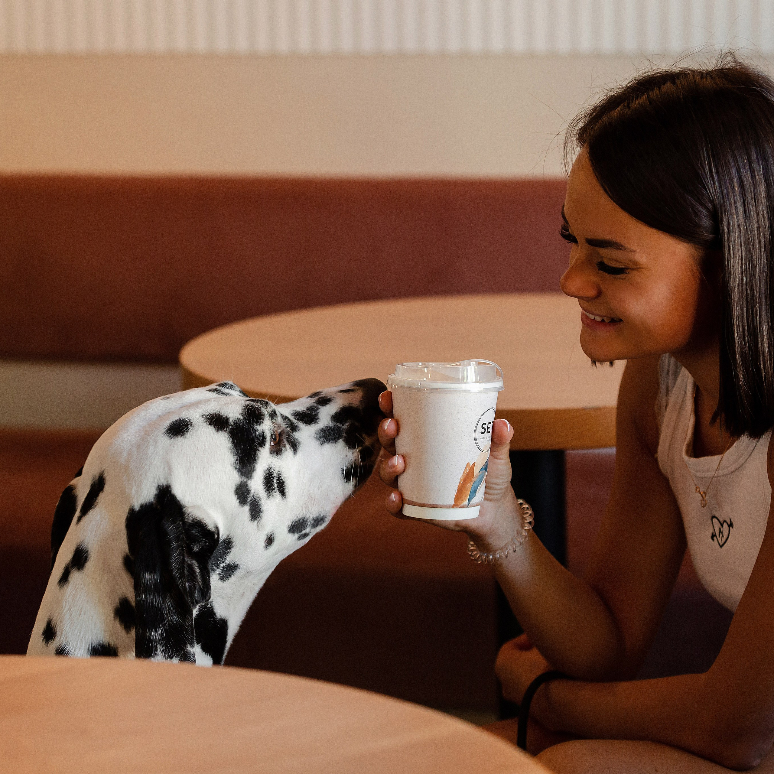 Сбывшаяся мечта