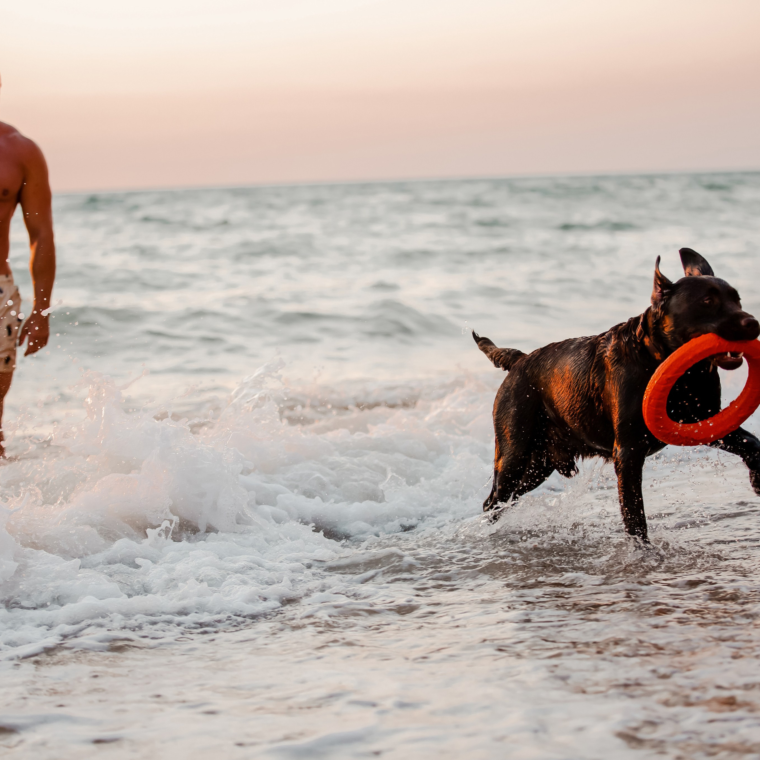 Услада для глаз