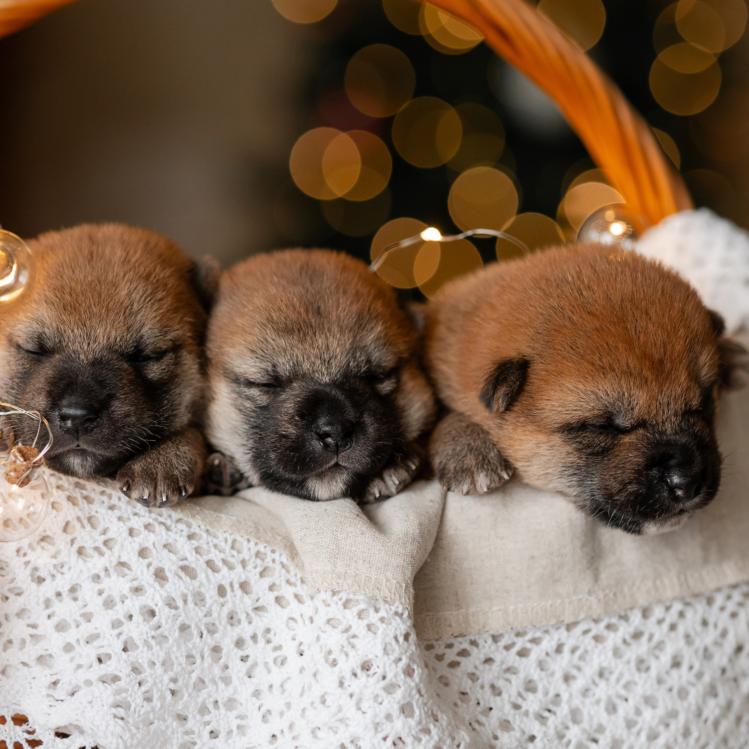 Однажды в Рождество