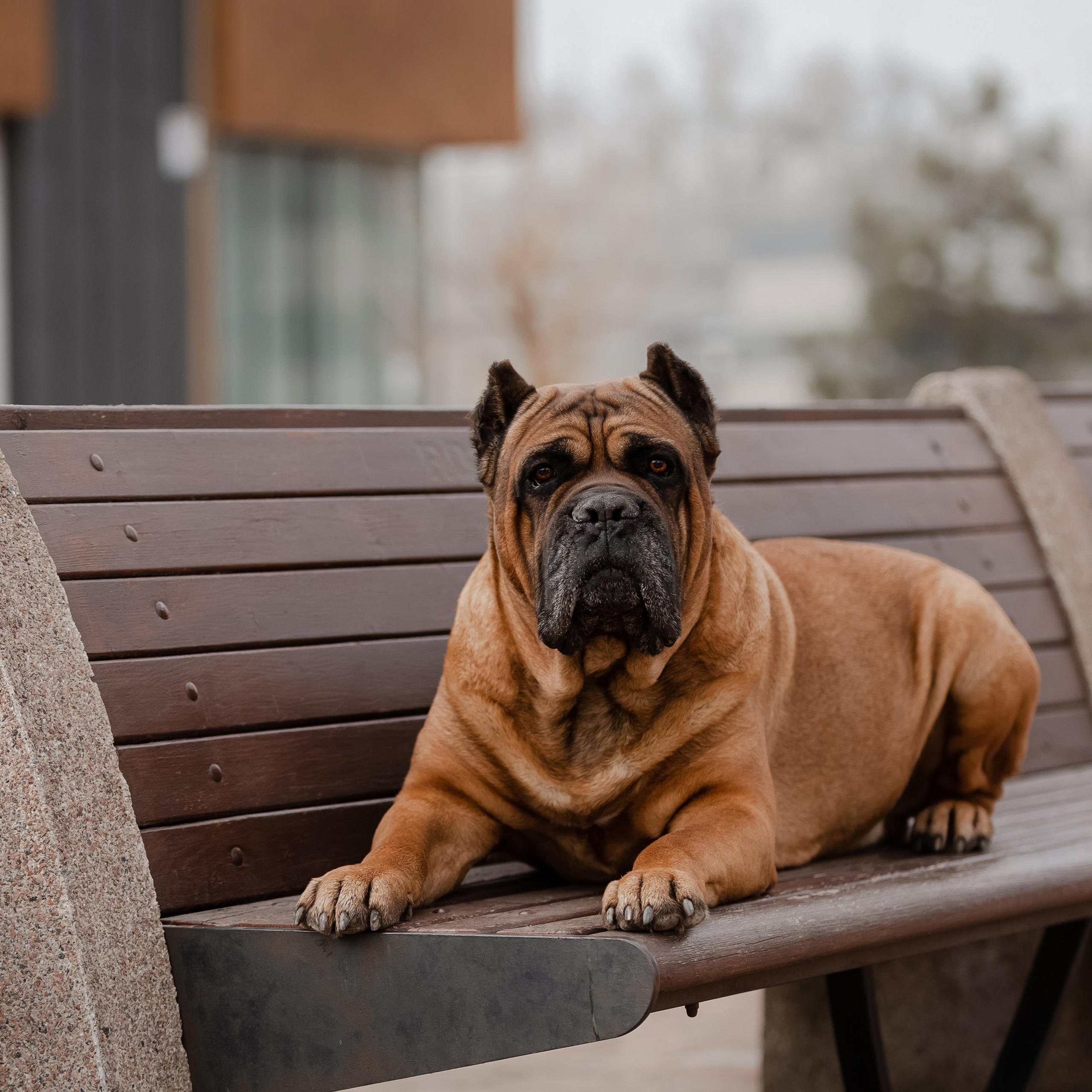 Яхонтовый ты мой