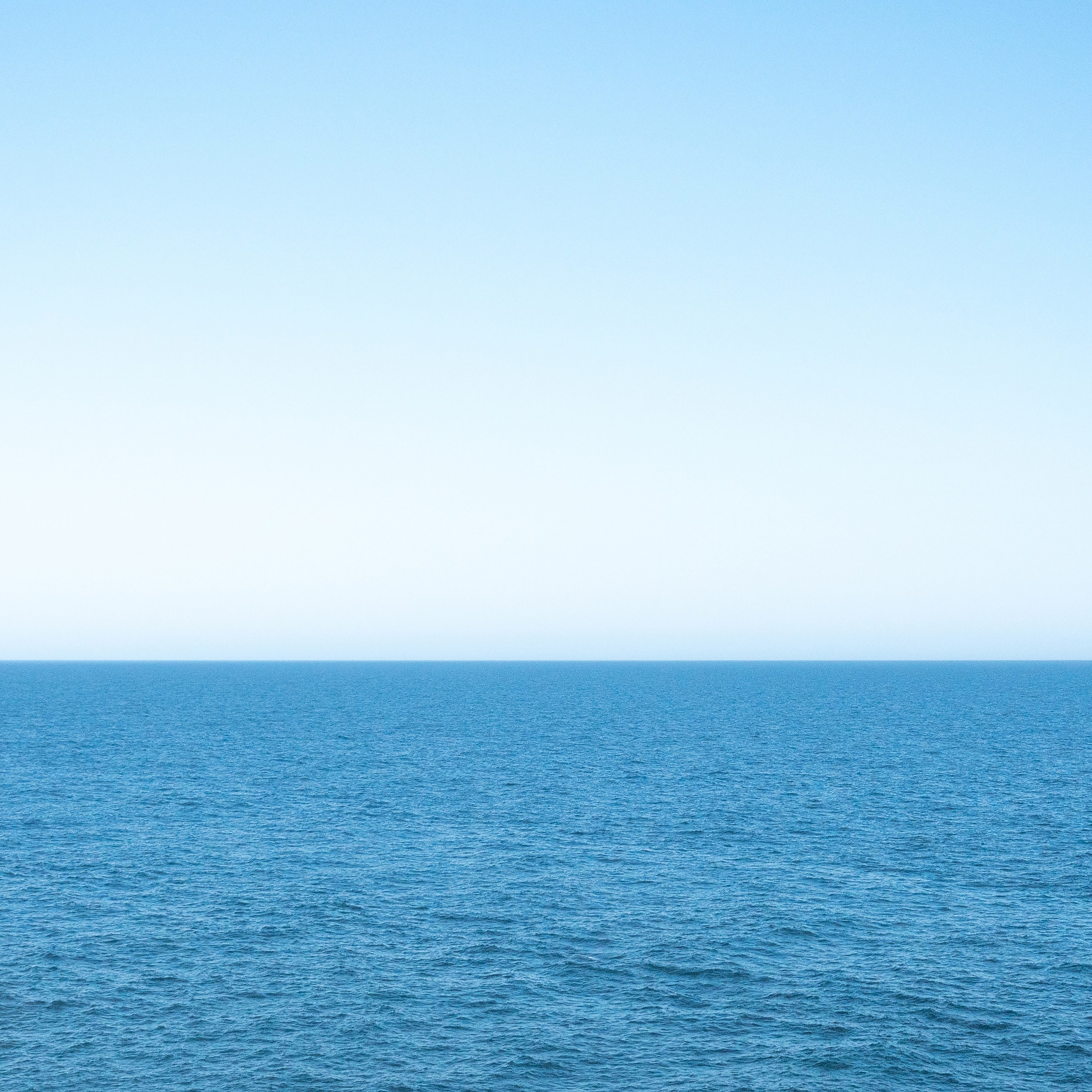 Отзывы. Алёна Орлова Портретный фотограф Москва