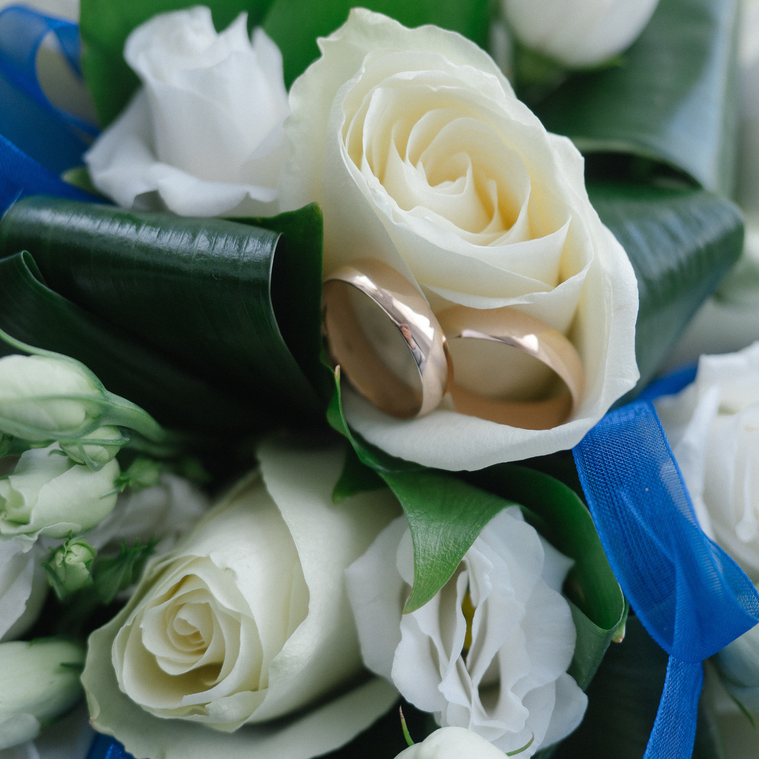 Отзывы. Алёна Орлова Портретный фотограф Москва