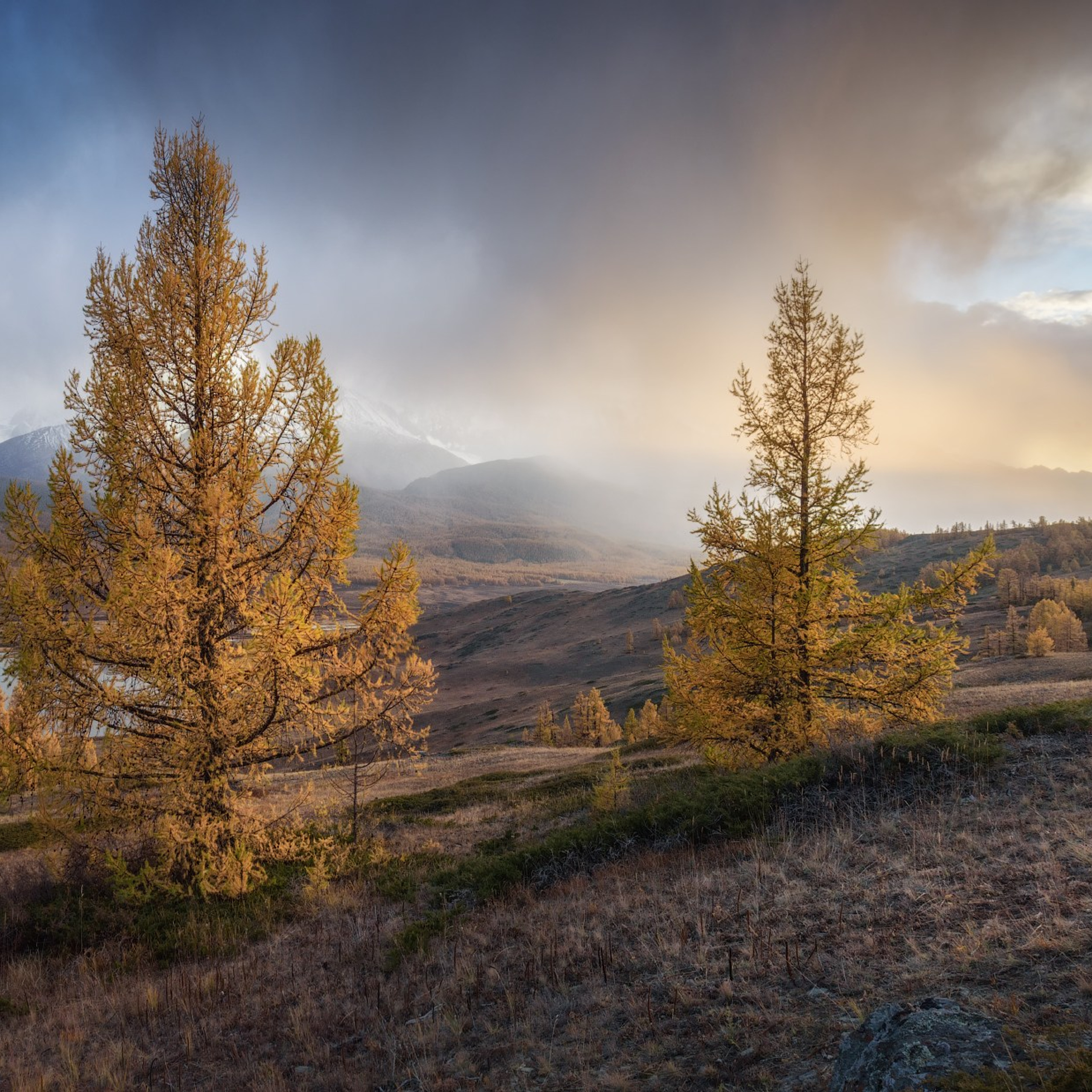 Фототур по Алтаю «В гости к ледникам». Профессиональный пейзажный фотограф Алёна Рубан